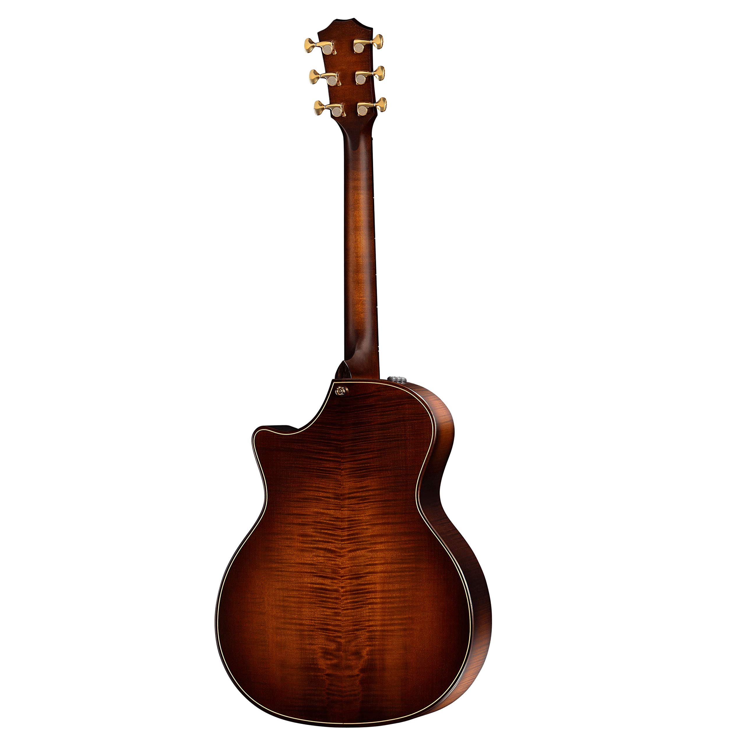 Amazon | Taylor 614ce Builder S Edition Vクラスブレース付き