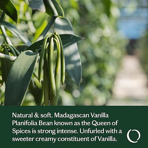 Miniatura 4 de LIVEDROPS 247 Mezcla de aceite de vainilla Well-Feeling Good - Aroma cálido de vainilla - Fabricado en Francia - Puro y natural - Aromaterapia -