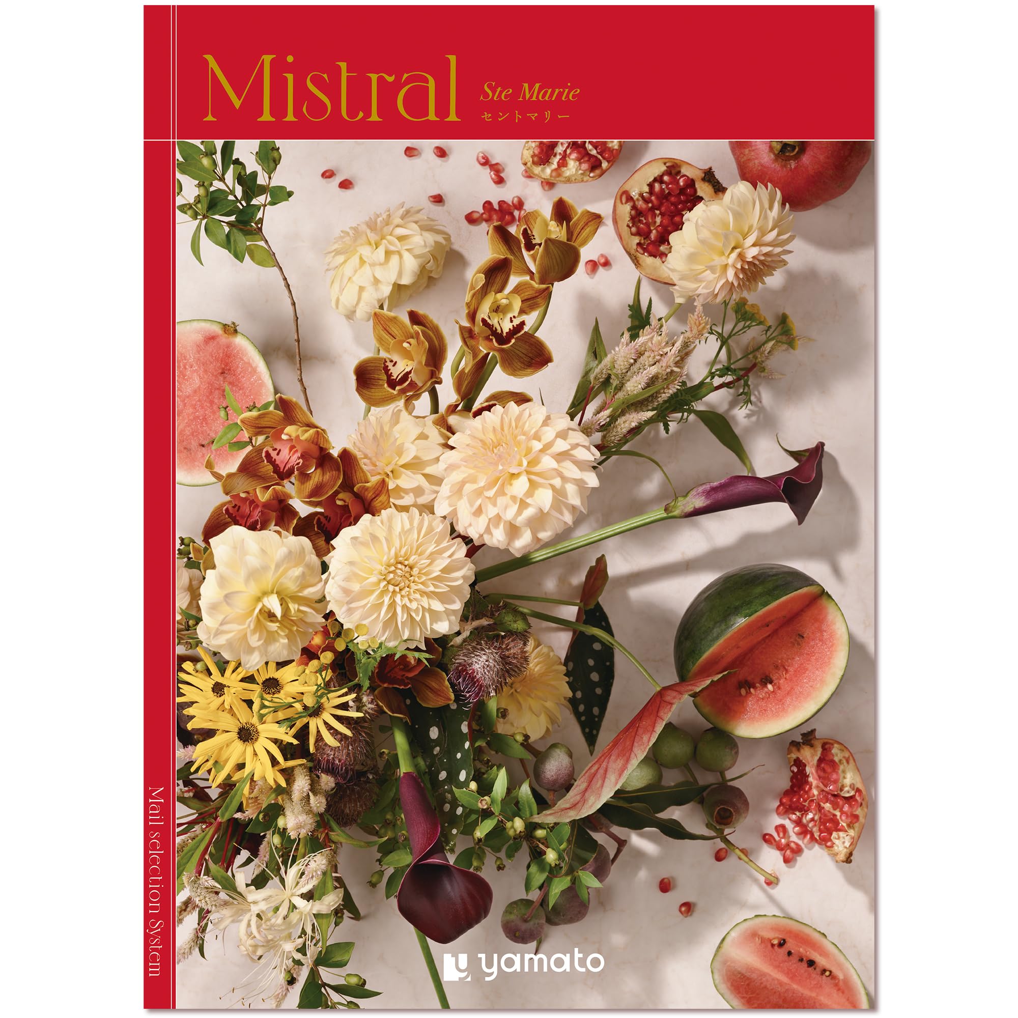Amazon｜YAMATO カタログギフト Mistral (ミストラル) Ste Marie