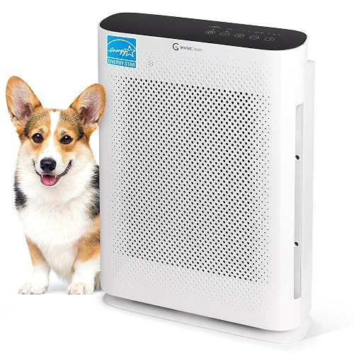 InvisiClean Aura II 4-in-1 H13 HEPA Air Purifier