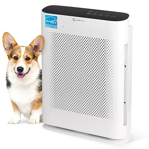 Air Purifier for Home Allergies & Pets | 4-in-1 H13 True HEPA Filter/Ionizer/Carbon + UV Light | Portable Air Purifiers for Large Room & Bedroom Odor Elimination - InvisiClean Aura II
