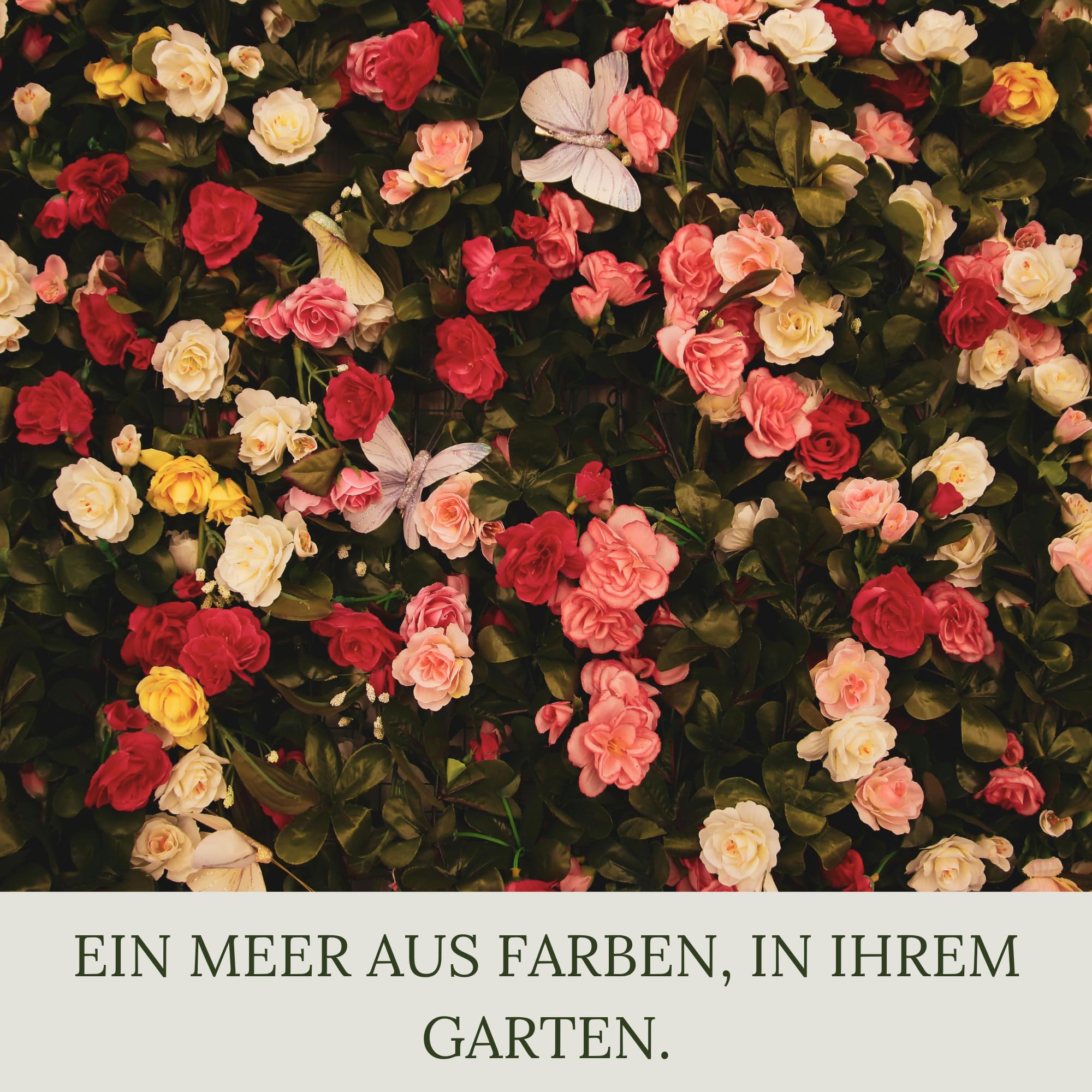 Floravera Premium Rosen Bio-Flüssigdünger 1 Liter Rosendünger Dünger (1 Liter)