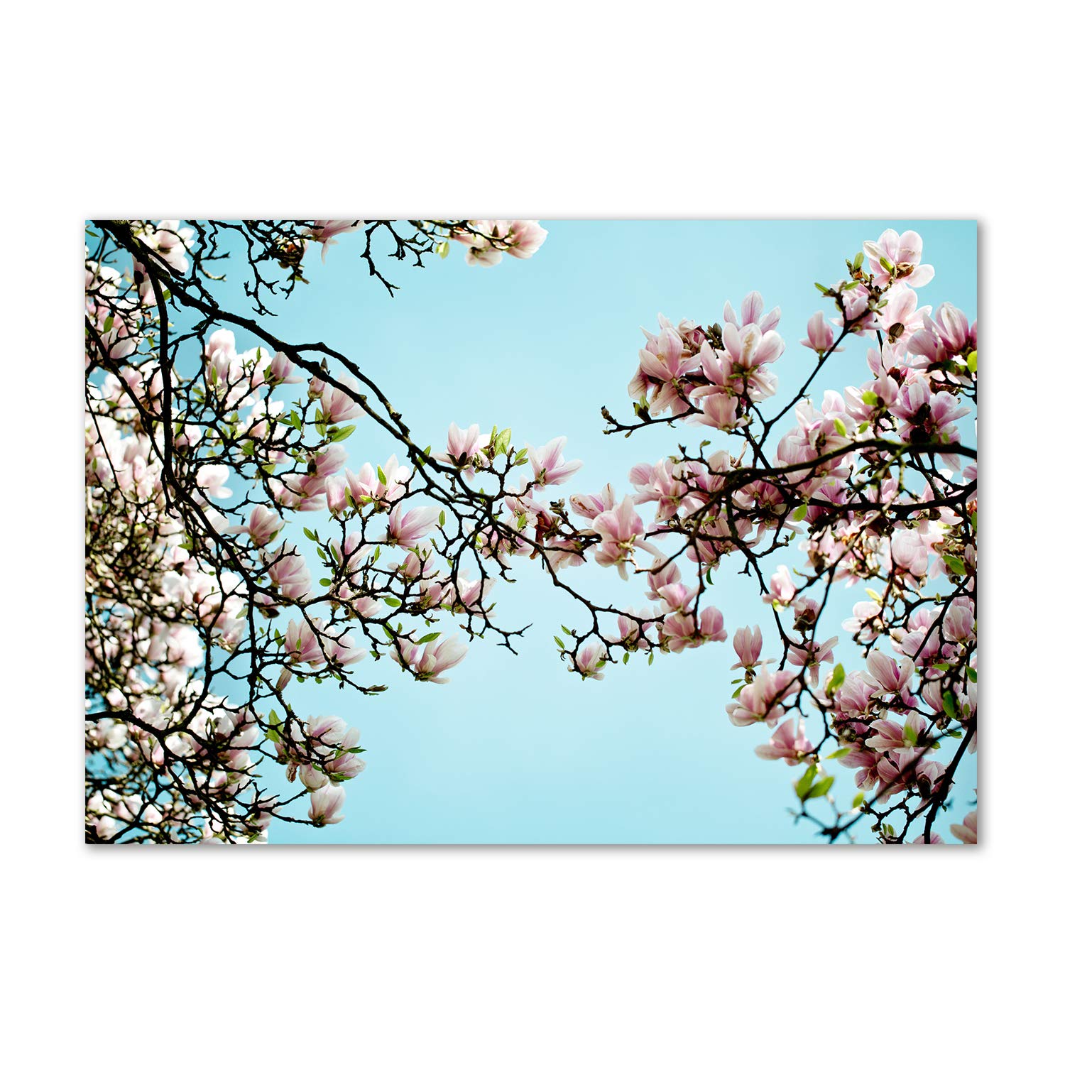 Tableau acrylique fleurs de magnolia avec impression haute définition et support incassable
