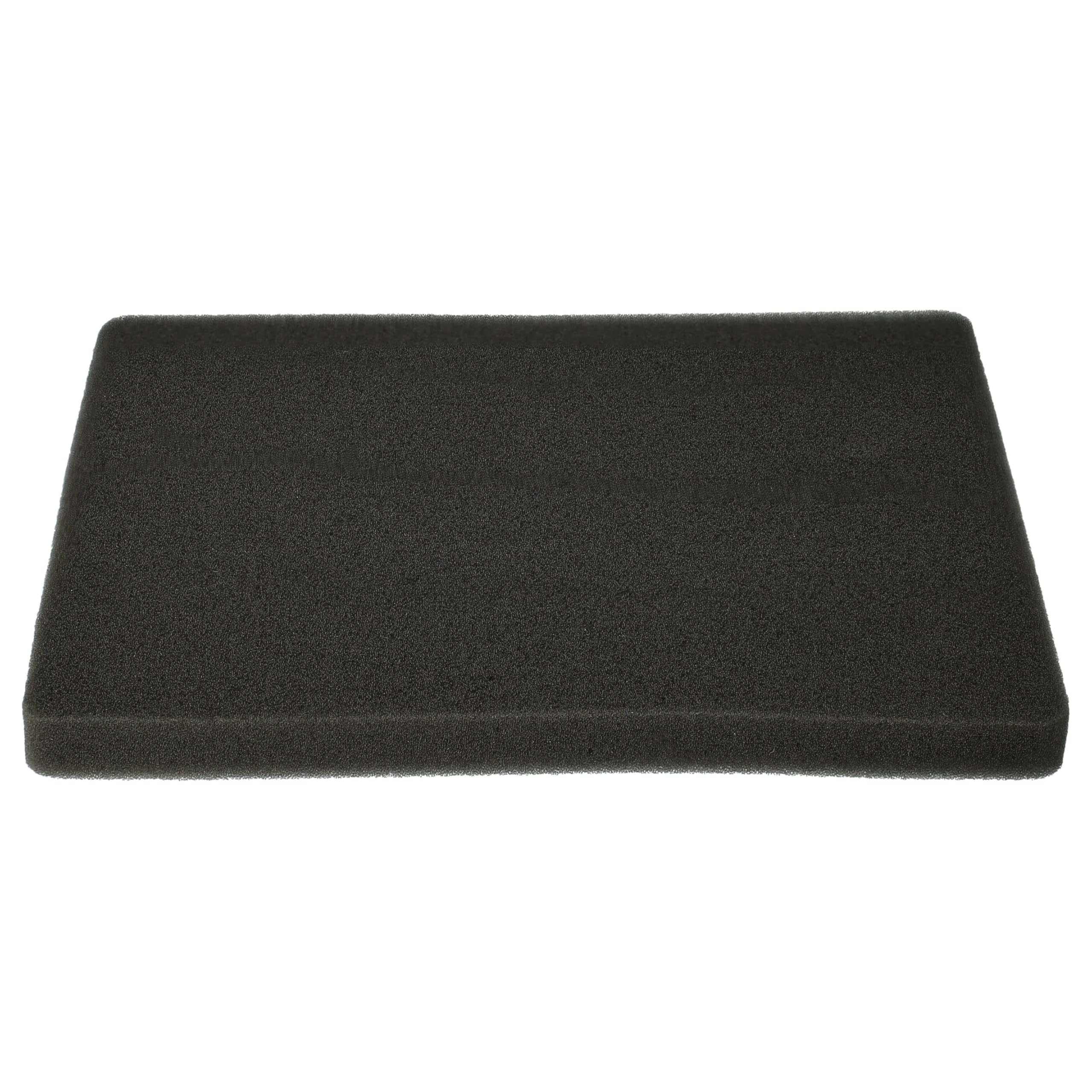Filtro aria di scarico per AEG UPDELUXE (903152224) UPORIGIN