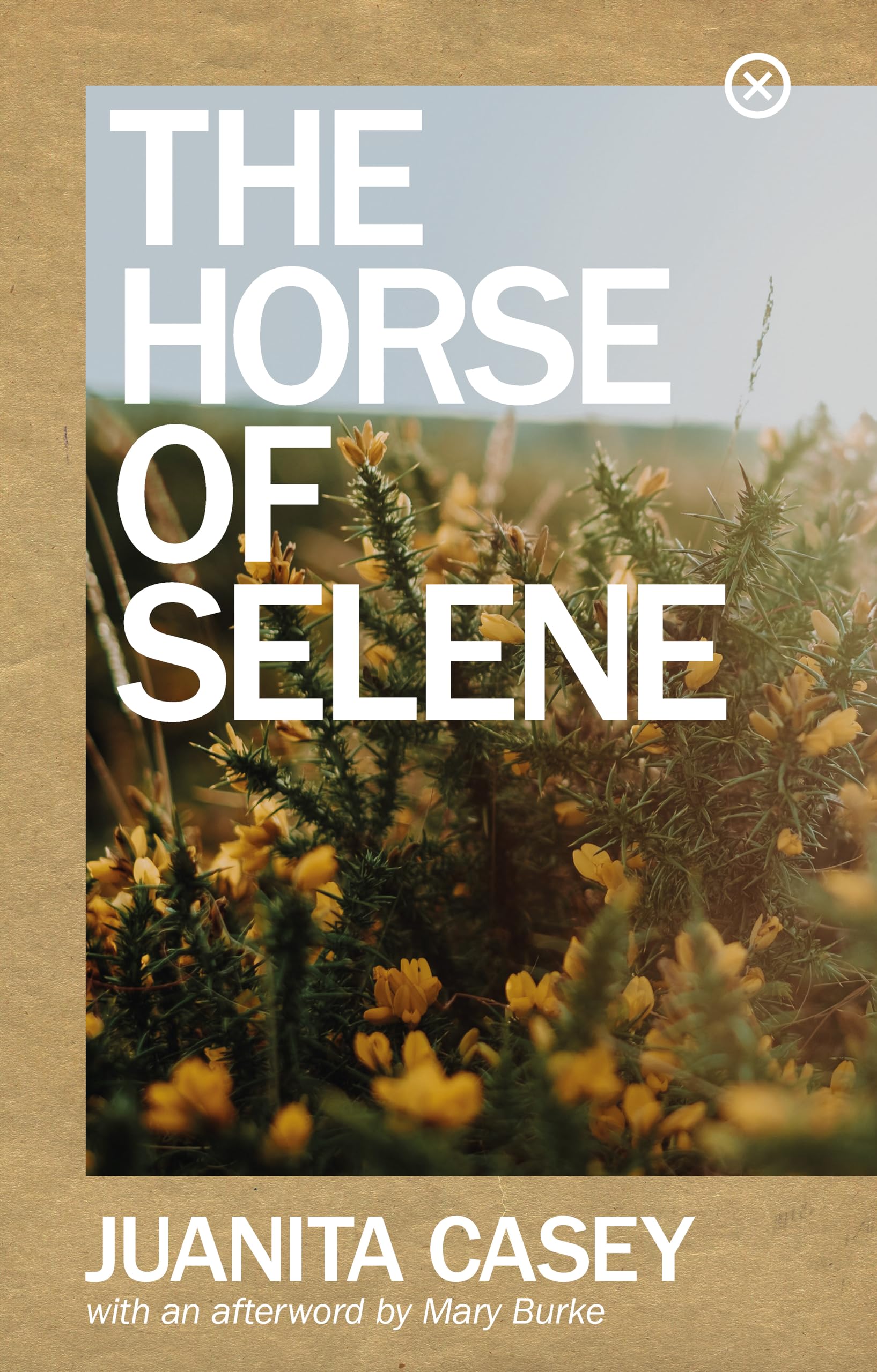 Horse Of Selene, The,Casey,Juanita