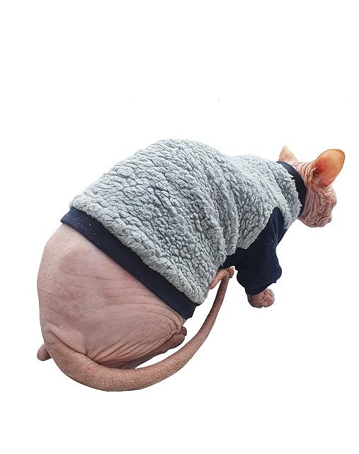 Foto 5 de 5 de Ropa Gato Jersey Sphynx Gatito Sport Chic Cálido Sin Pelo Invierno Pet (XS)