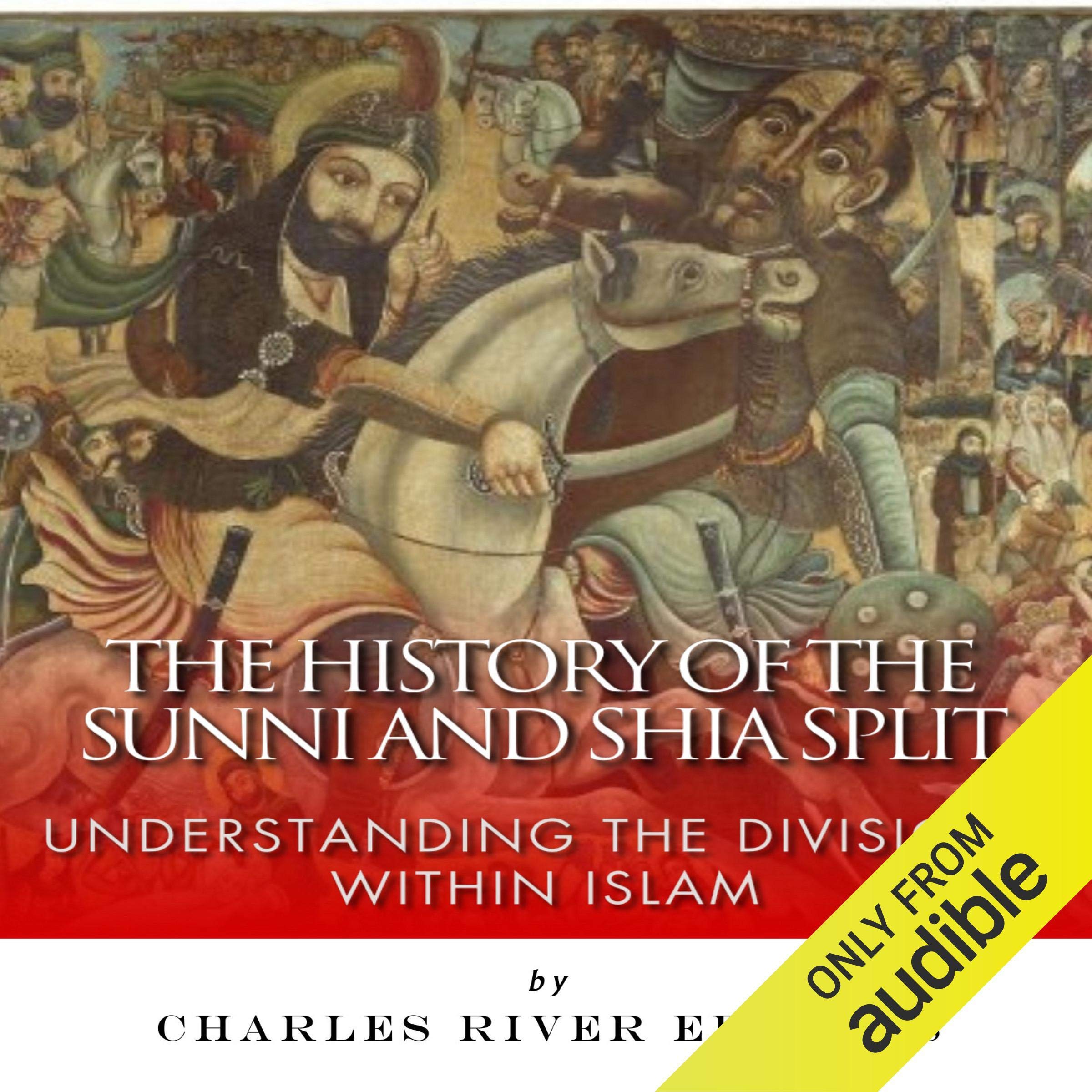 Cover art for The History of the Sunni and Shia Split