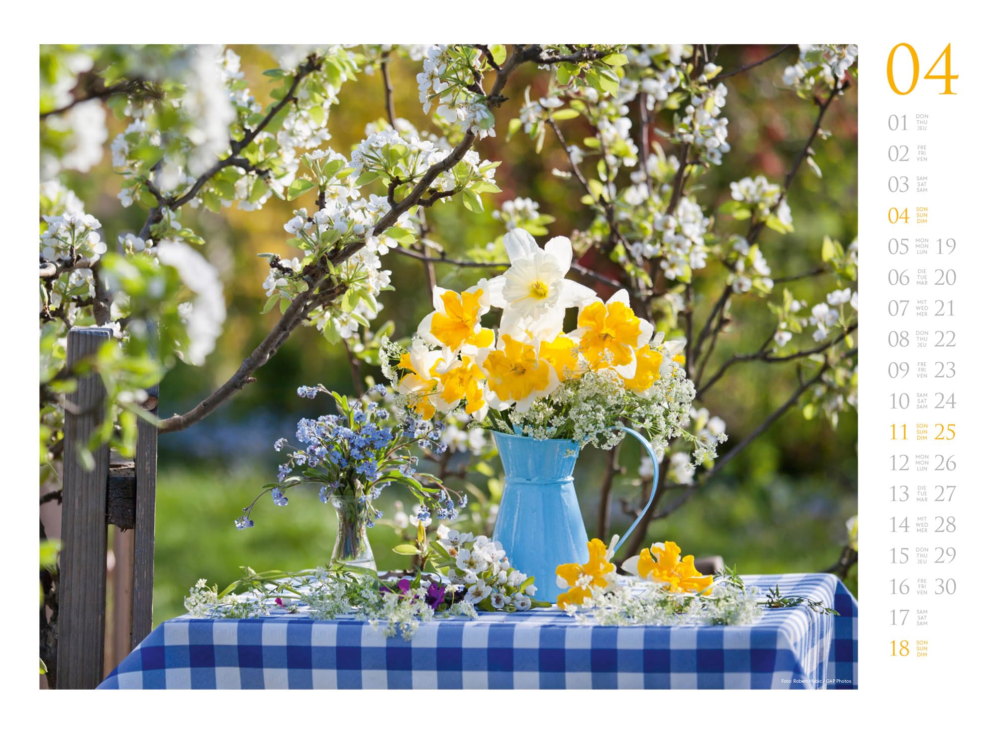 Blumenzauber Kalender 2027: Farbenfroher Blumen-Kalender im Querformat (45x33 cm) | Für Florist:innen und Garten-Fans