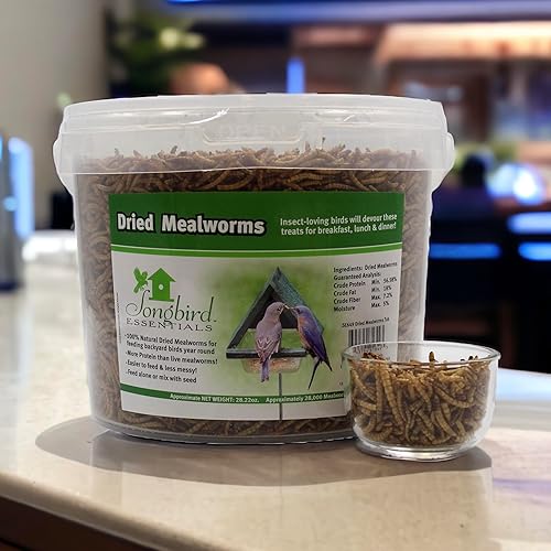 Vista 27 de Songbird Essentials Gusanos de harina secos para aves silvestres, gusanos de harina 100% naturales para pollos, pájaros azules, reptiles y patos