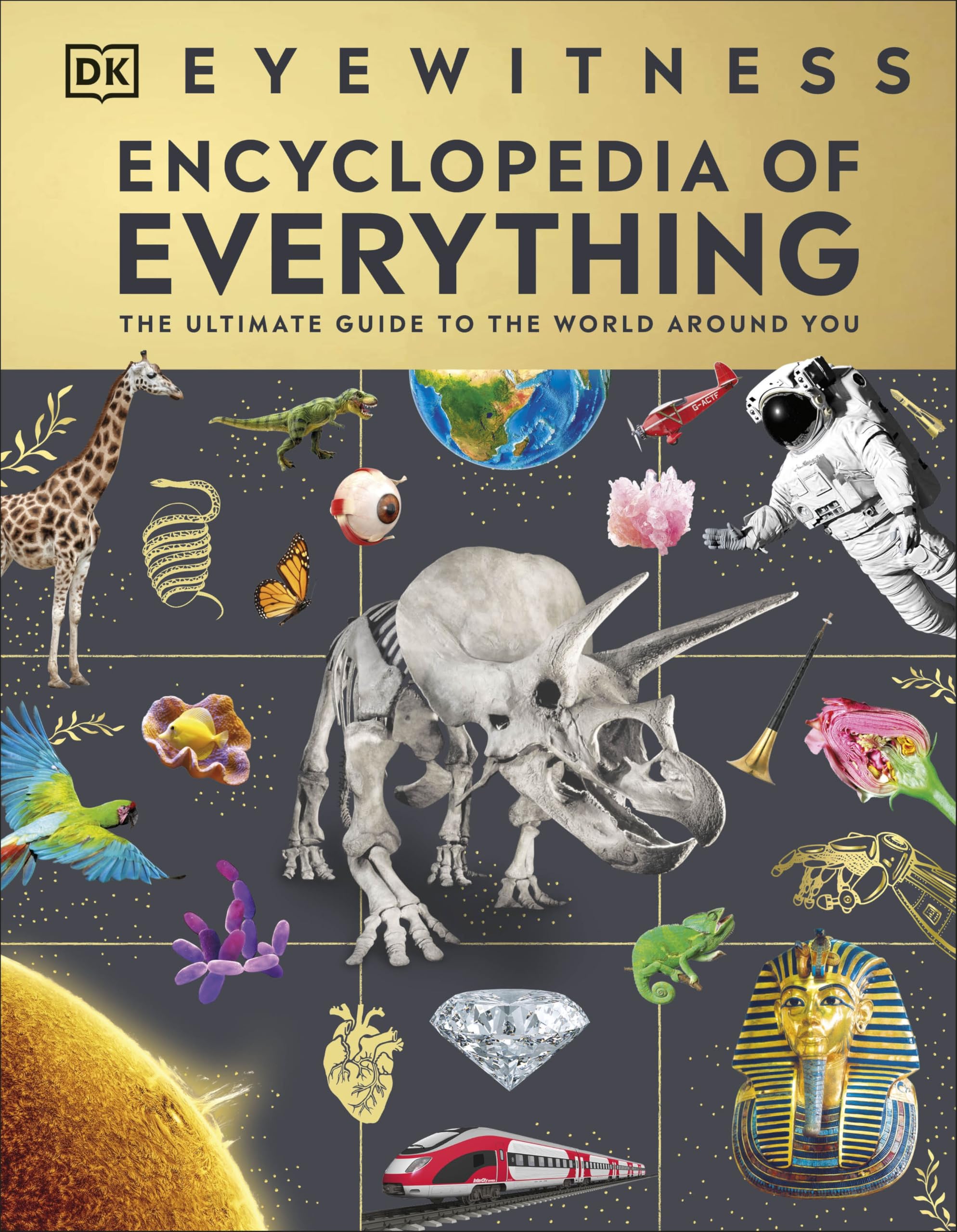 DK Eyewitness Enzyklopädie Eyewitness Encyclopedia of Everything: The Ultimate Guide to the World Around You
