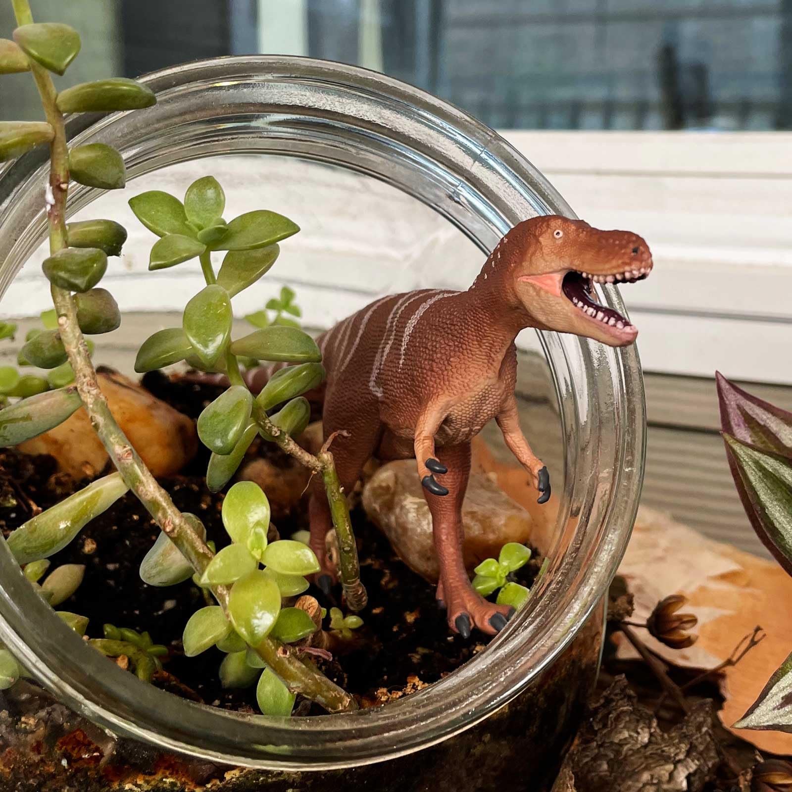 Safari Ltd Tyrannosaurus Rex Baby Dino – 8,4 Cm, AR-fähig Mit Dino Dana App, BPA-frei & Ungiftig (ab 3 Jahren)