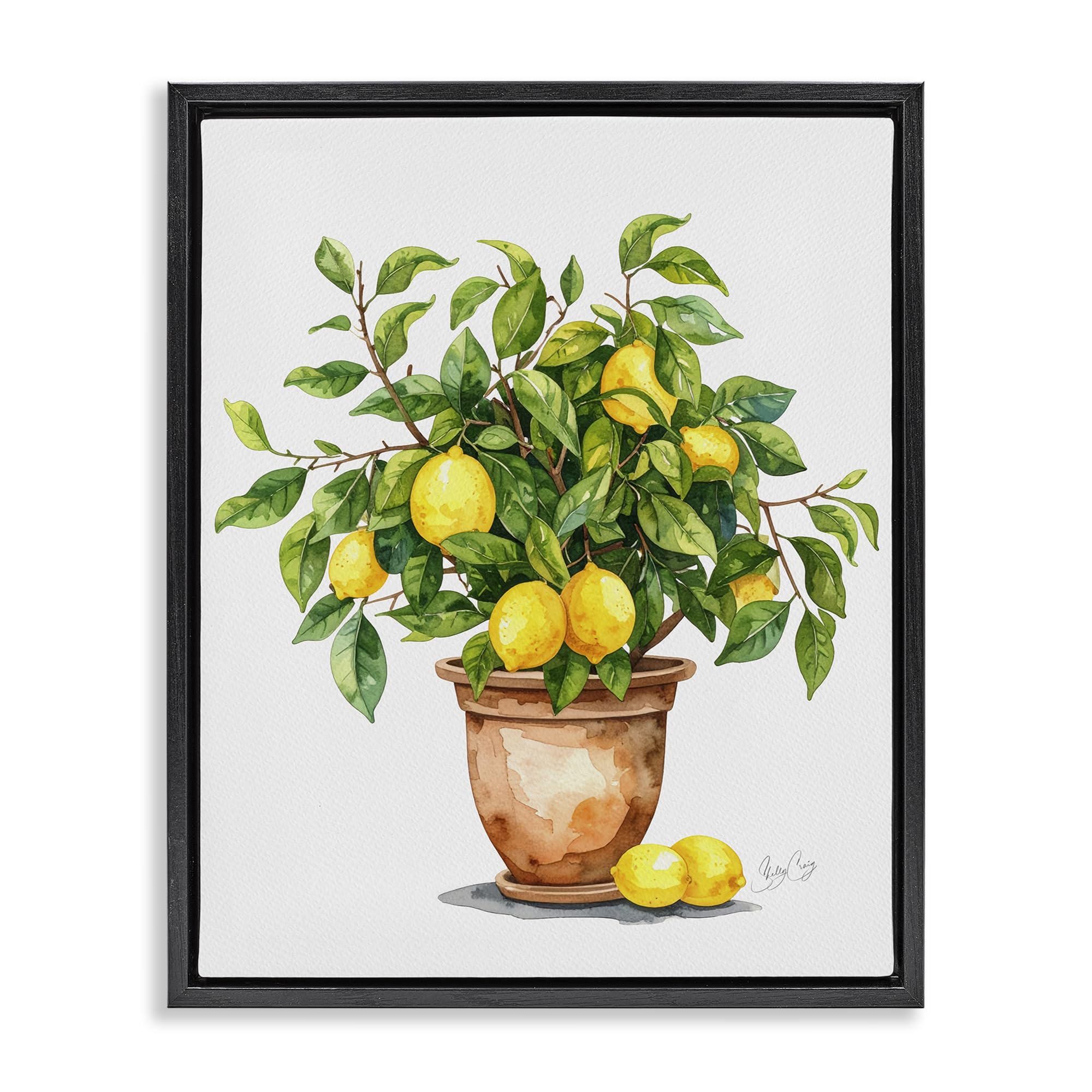Stupell Industries Jet Black (Matte) Potted Lemon Tree Botanical, 24 X 30 Inch Canvas In Floater Frame