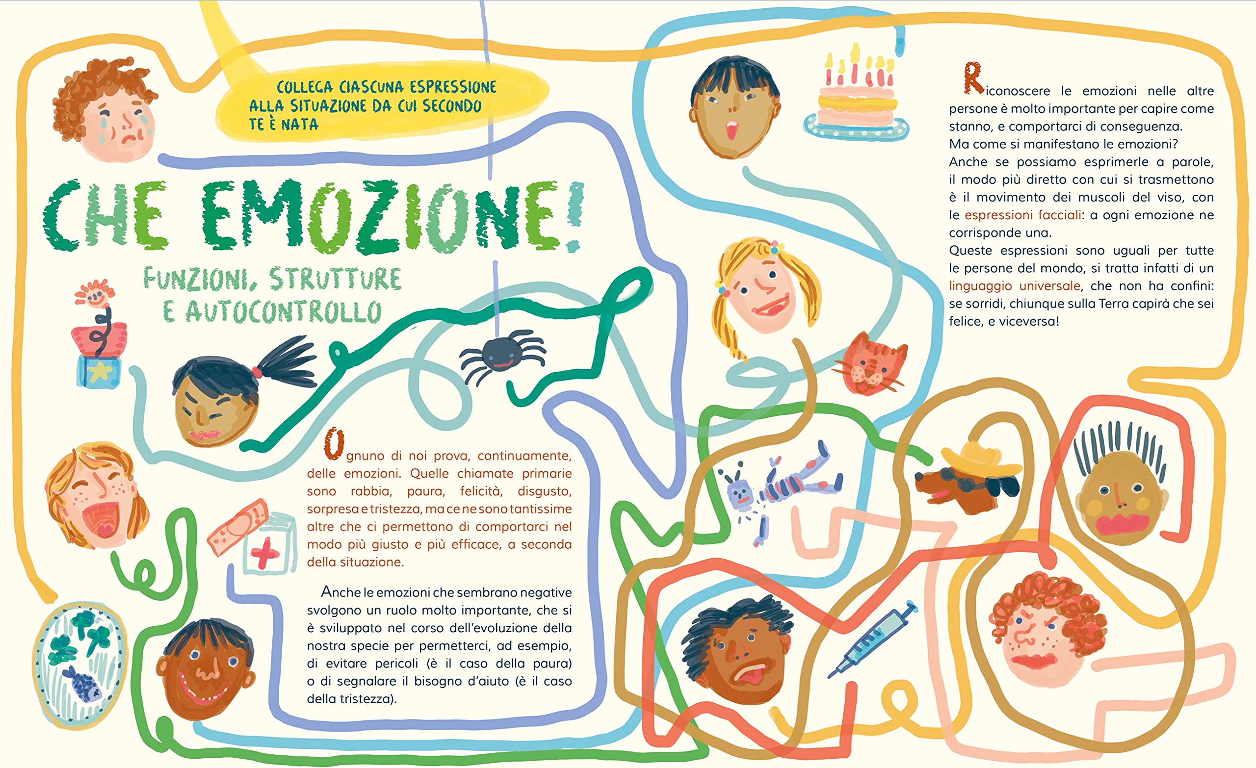C come cervello. Neuroscienze per lettori curiosi. Ediz. a colori