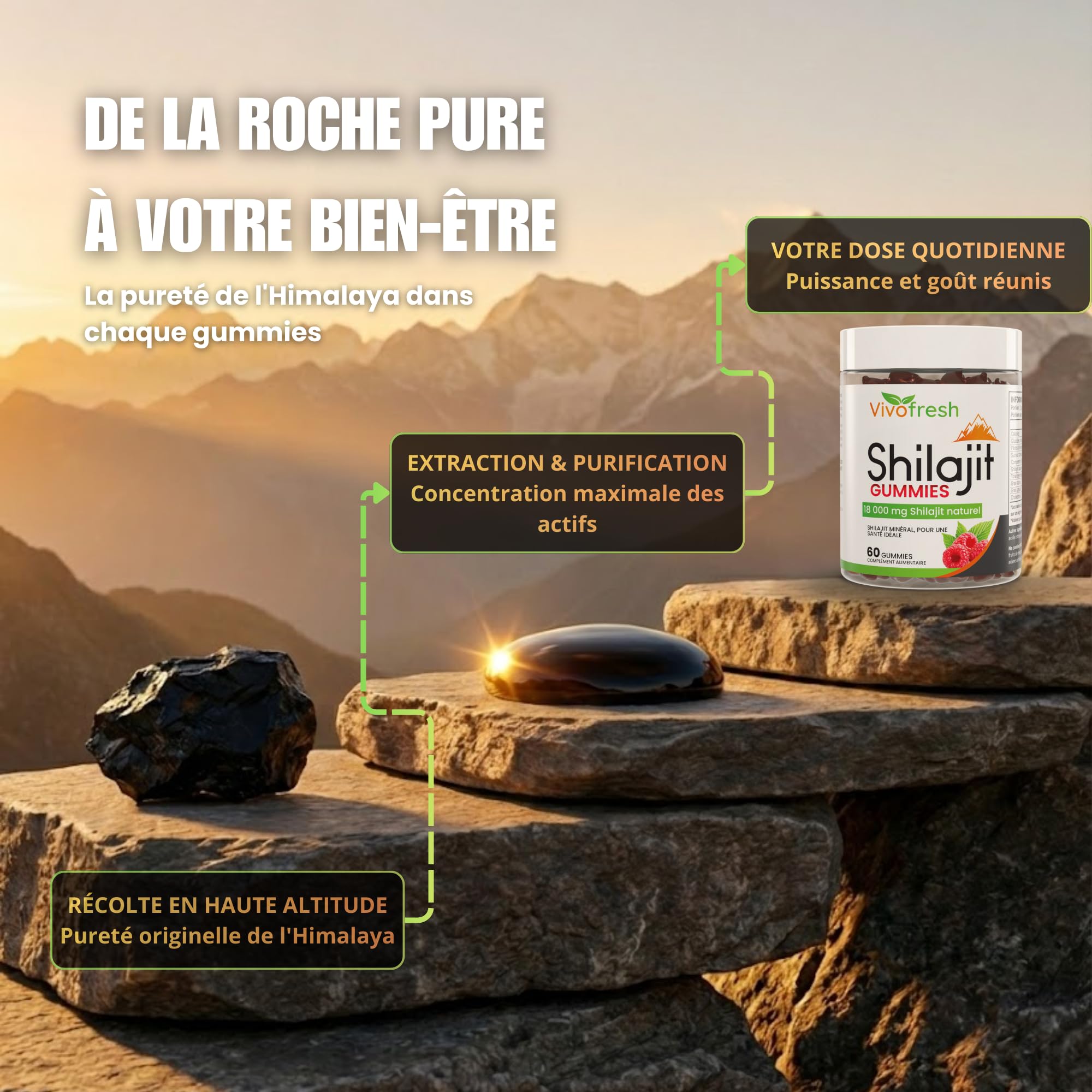 Shilajit Pur Himalaya 18000mg | 60 Gummies Haute Dose | Énergie Performance Vigueur | Boost Métabolisme | Format 1 Mois | Complément Alimentaire Naturel