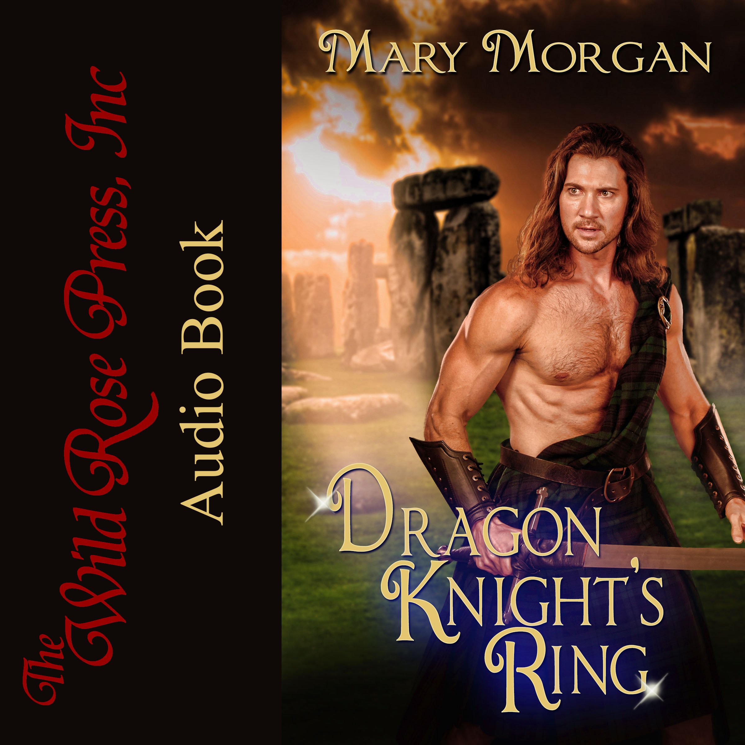Cover art for Dragon Knight's Ring