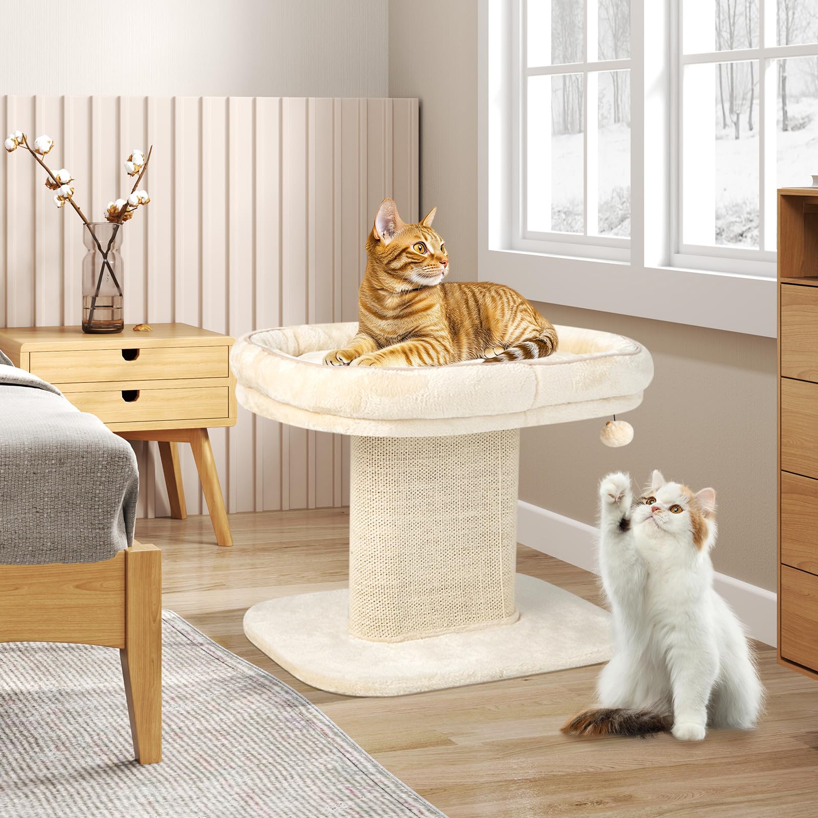 GYMAX Árbol Rascador de 50 cm de Alto para Gatos, Árbol de Escalada con Asiento de Felpa Suave, con Columna de Sisal y Pelota, Árbol de Actividad y Árbol de Juegos, para Pequeño Gato, Beige