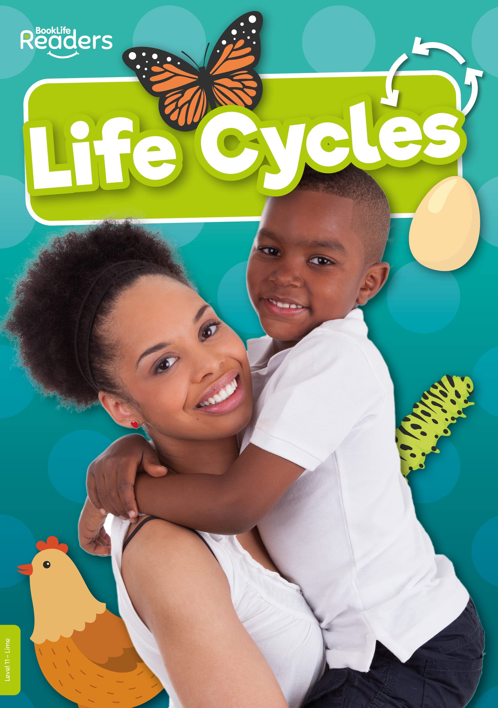 Life Cycles by Louise Nelson (Paperback Book)