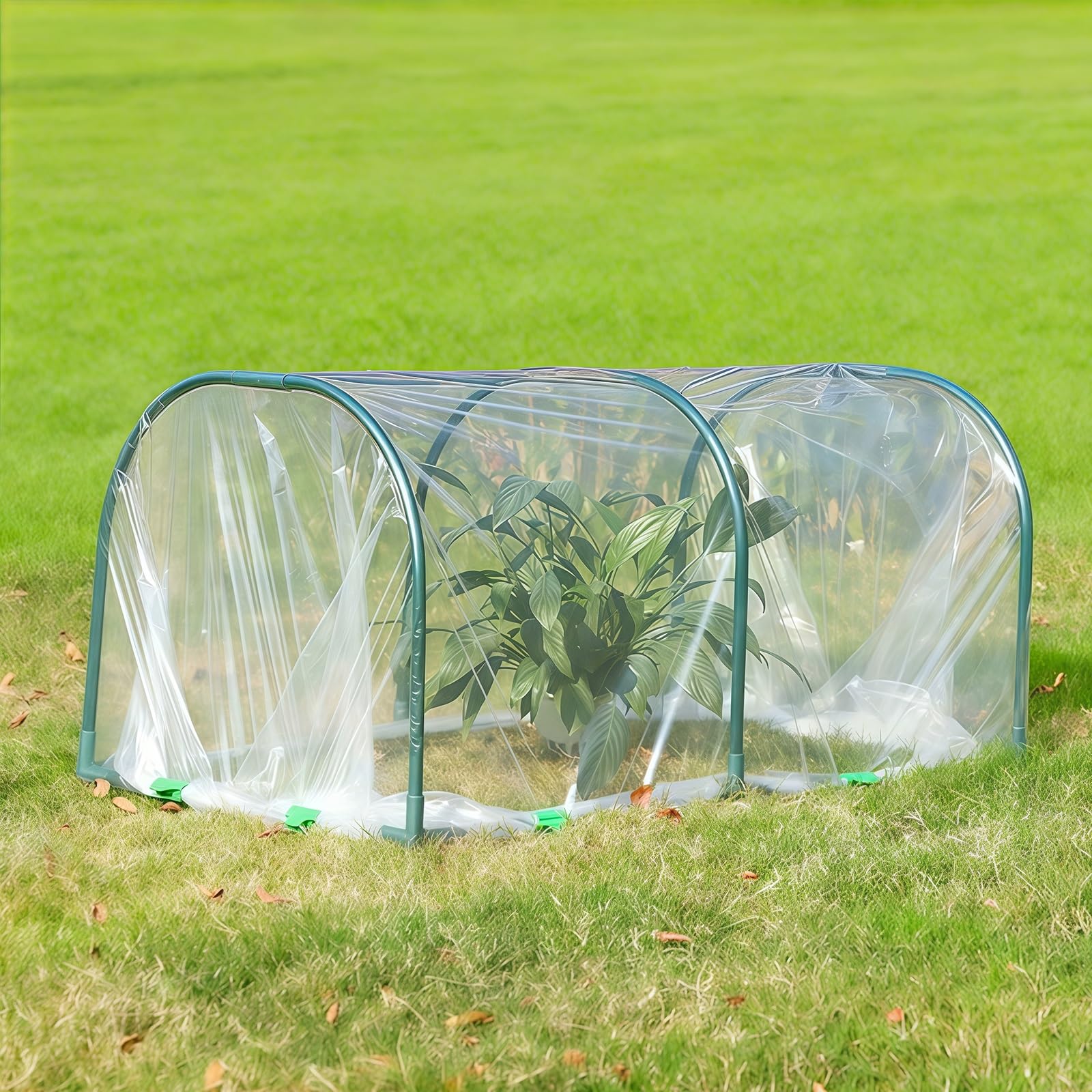 Mini véranda, Serre Tunnel, kit de Petite Serre, adapté aux Jardins, balcons, Champs de légumes(50x100x55cm)