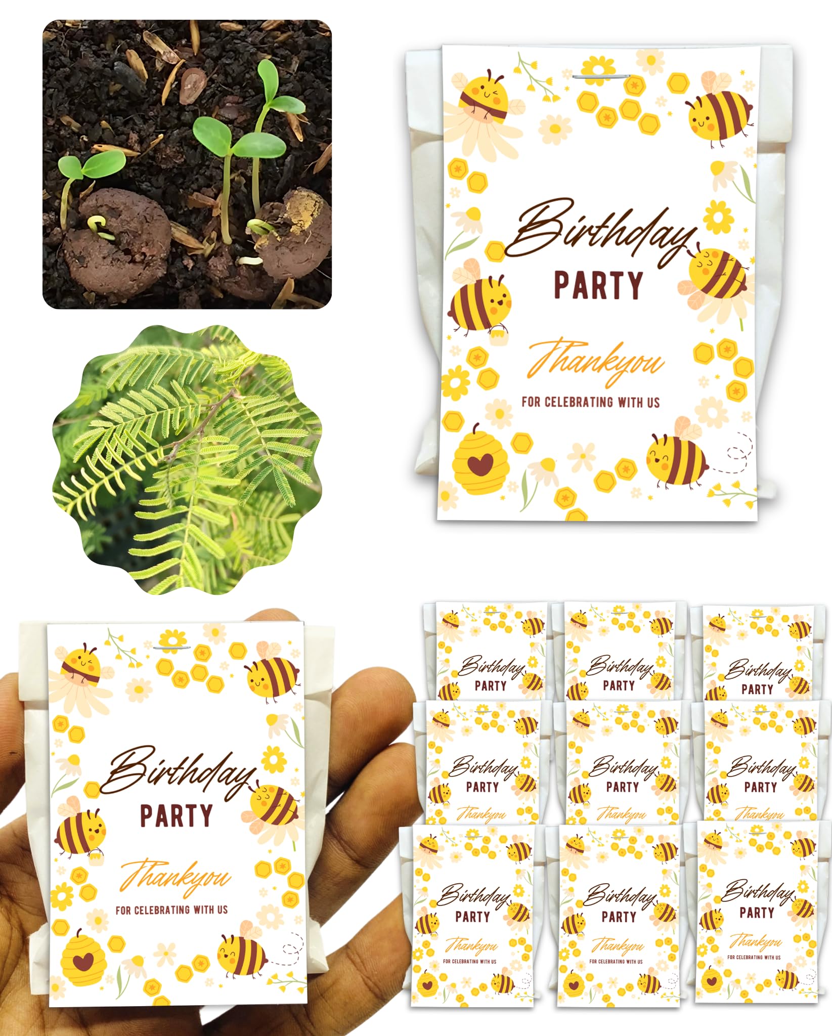 Seed Balls Return Gift for Birthday 2 Seed Balls Per Packet, Plantable Seed Ball, Individually Packed Eco-Friendly Return Gift (Pack of 10) (Shami)-image-3