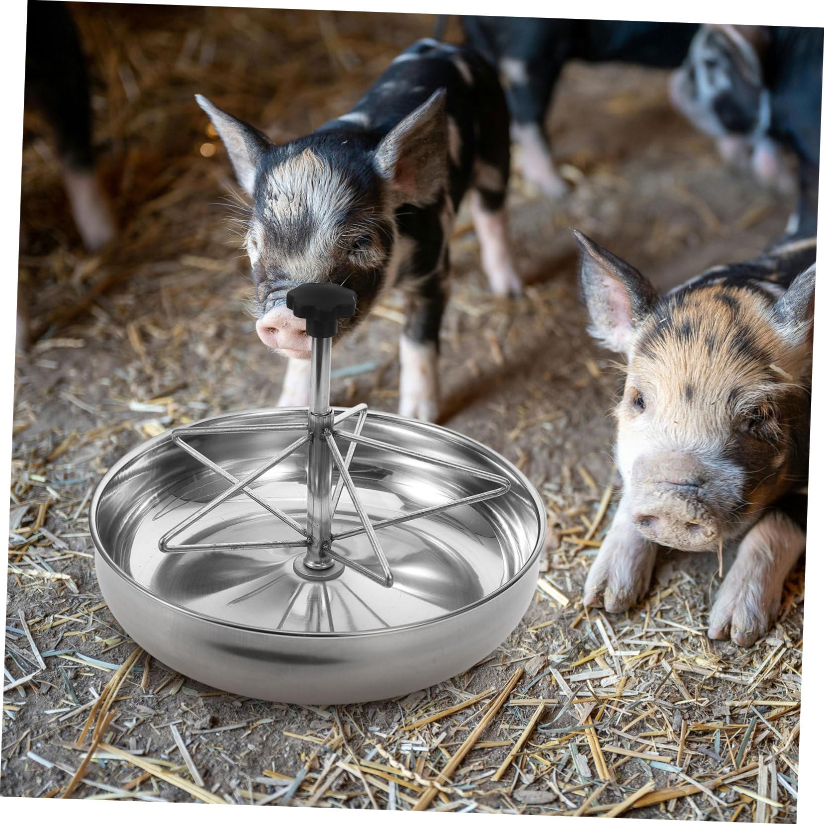 Alimentatore Per Suinetti Inossidabile Trogolo Stabile e Facile Da Pulire Per Allevamenti Di Maiali Resistente e Sicuro Mangiatoia Per Animali Da Fattoria