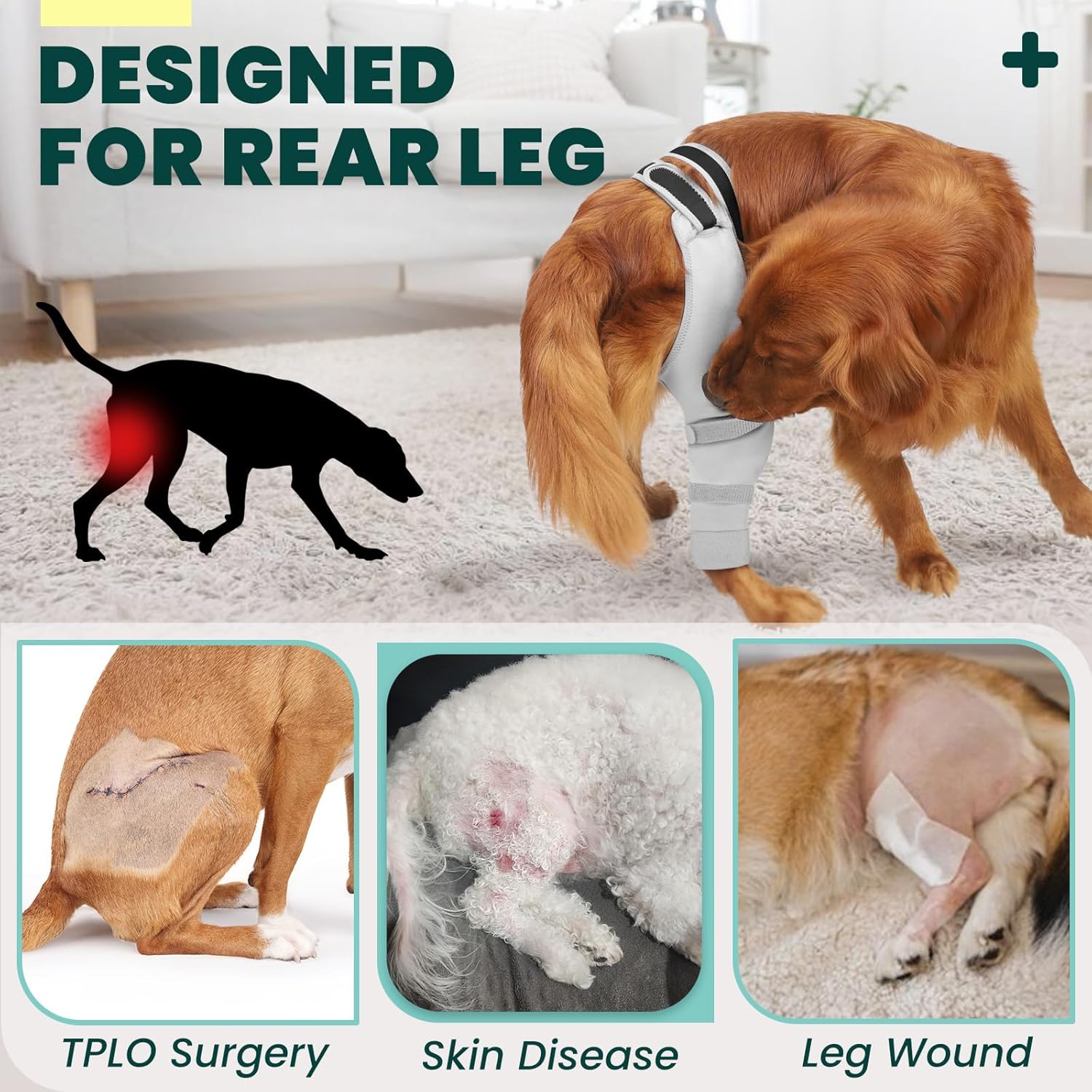 Dog Rear Leg Sleeve to Stop Licking: Soft Recovery Wrap for Hind/Back Leg Wounds, TPLO ACL Surgery, Surgical Sleeve for Small Medium Large Dogs, Cone Alternative (Right-2XL, Light Gray)
