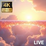 screentec - 4K Screensaver & Live Wallpaper