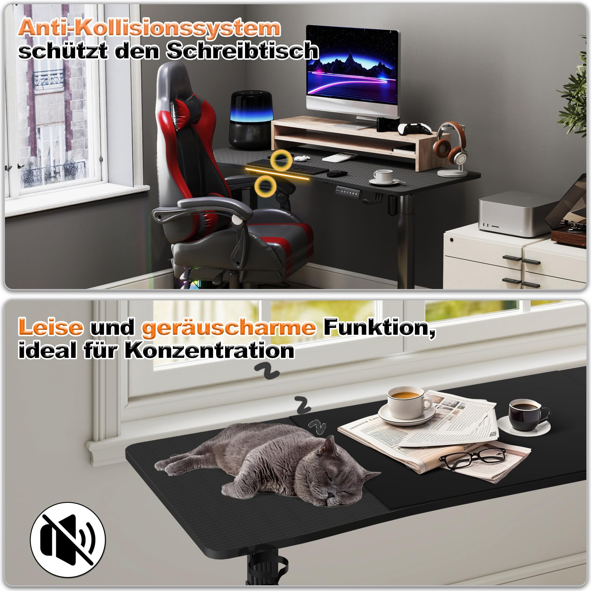 Froadp Höhenverstellbarer Schreibtisch 160x60cm Elektrischer Computertisch mit Memory-Funktion und Type C Ladeanschluss Verstellbarer Tisch Büro- und Gaming-Schreibtisch Schwarz, Tragkraft 80kg