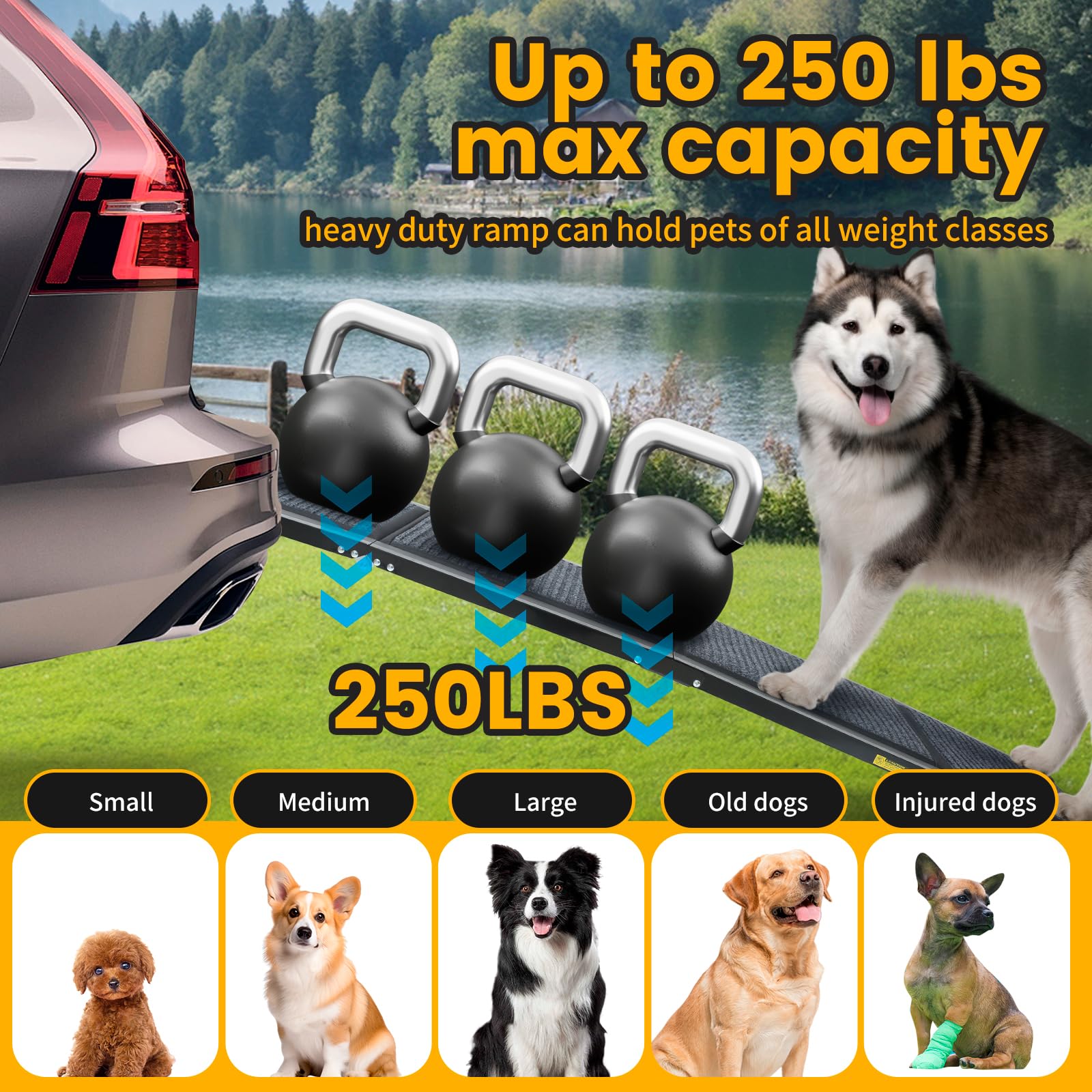PawStep Rampa para Mascotas, Color Negro