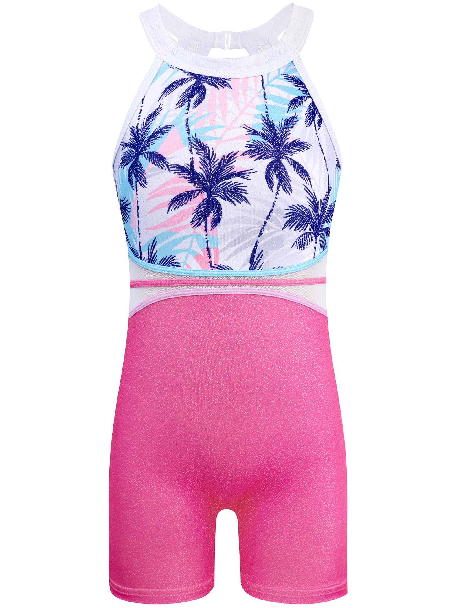 HOZIY Leotards for Girls Gymnastics Kids Children Biketard Snowflake Ribbon Blue Purple Hot Pink Sparkle