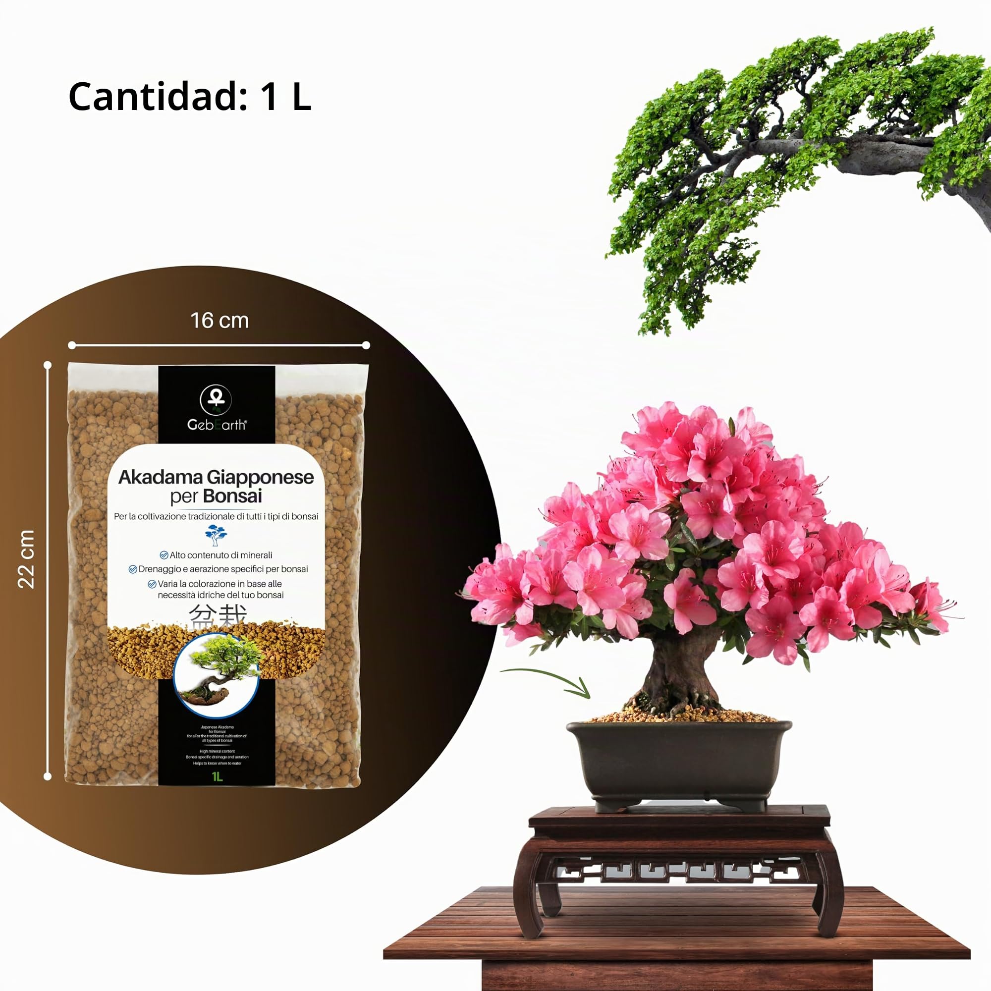 GebEarth - Akadama japonés profesional para bonsai 2-5 mm de 1 l. Equilibrio perfecto de agua, aire y minerales