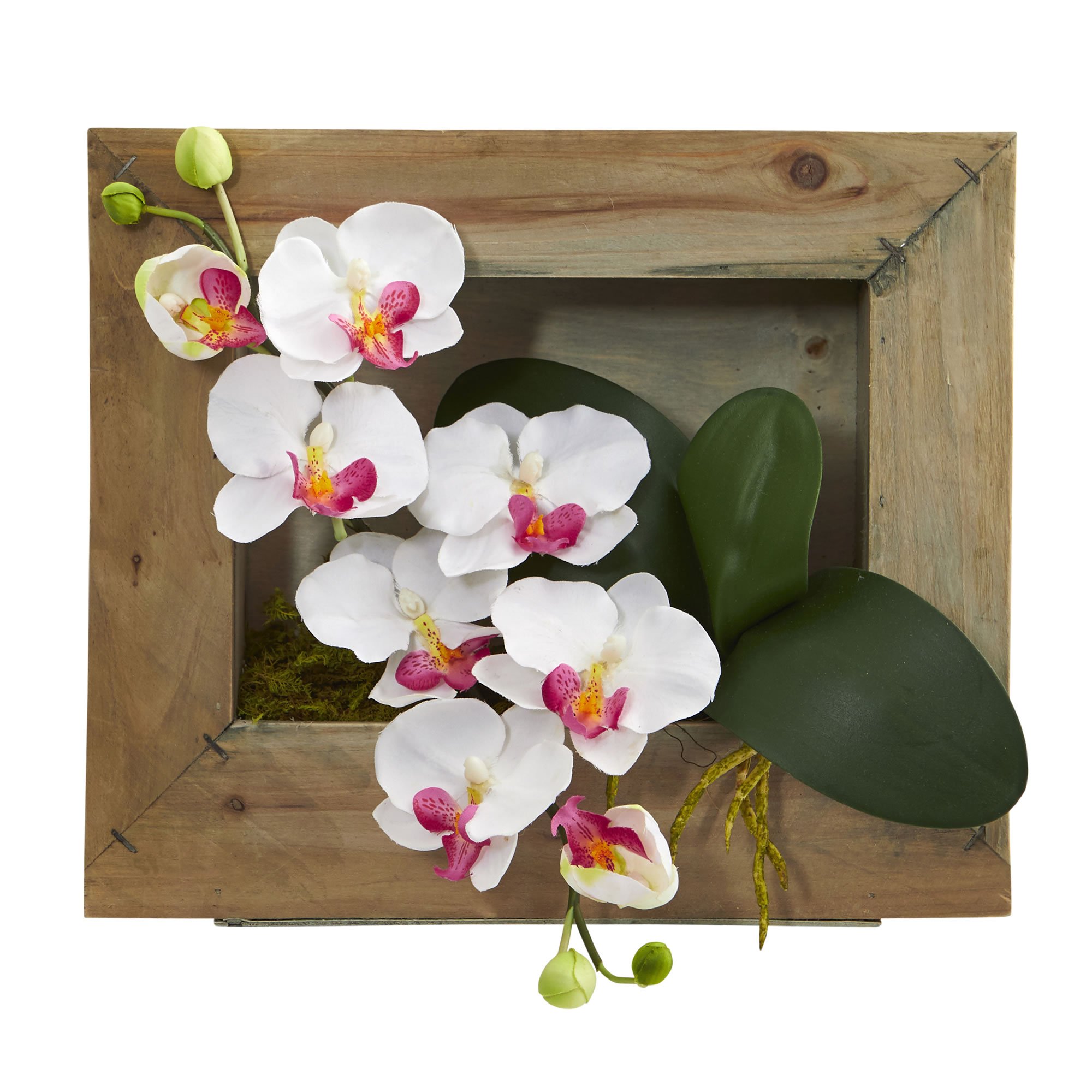 Orchidée Phalaenopsis artificielle cadre bois pour décoration salon chaleureux