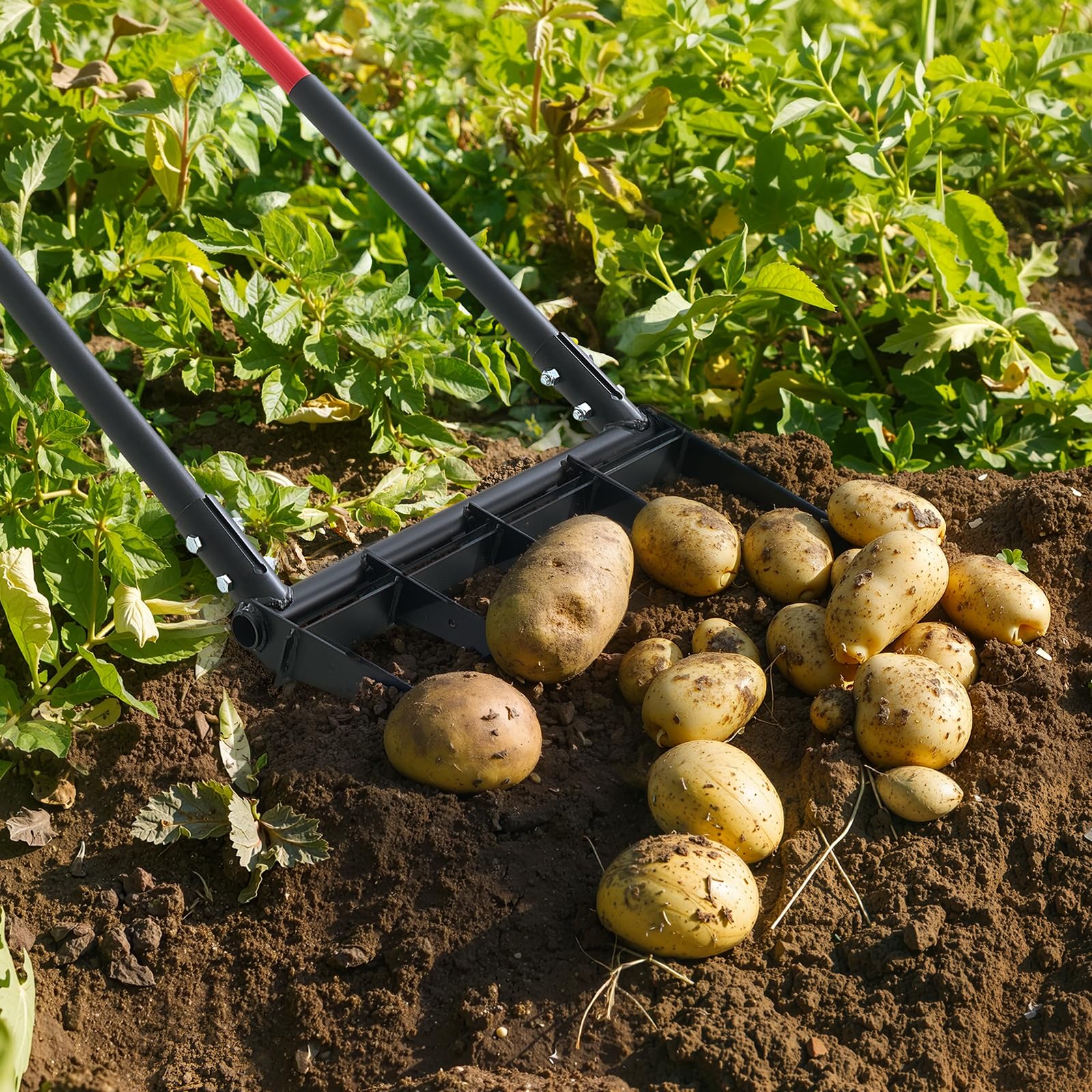 VEVOR Grelinette à 5 Dents, Fourche à Bêcher avec Double Manche en Fibre de Verre, Fourche de Jardin Large Robuste en Forme de U, Outil pour Jardinage, Compostage, Transplantation, Aération de Terre