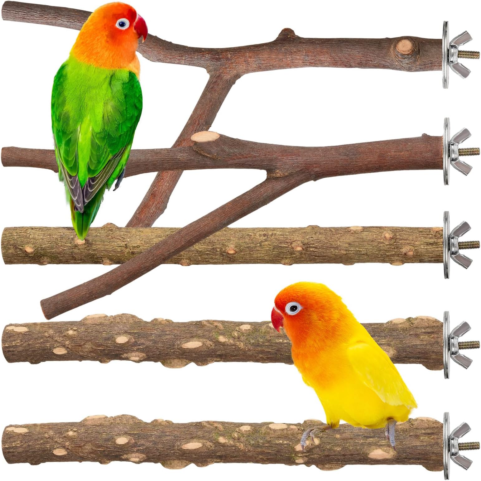 5Pcs Bird Perches for Parrots, Perches for Bird Cages, Natural Wood Perches Bird