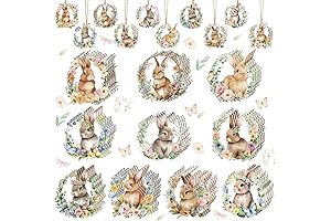 Qunclay Easter Bunny Ornaments for Tree