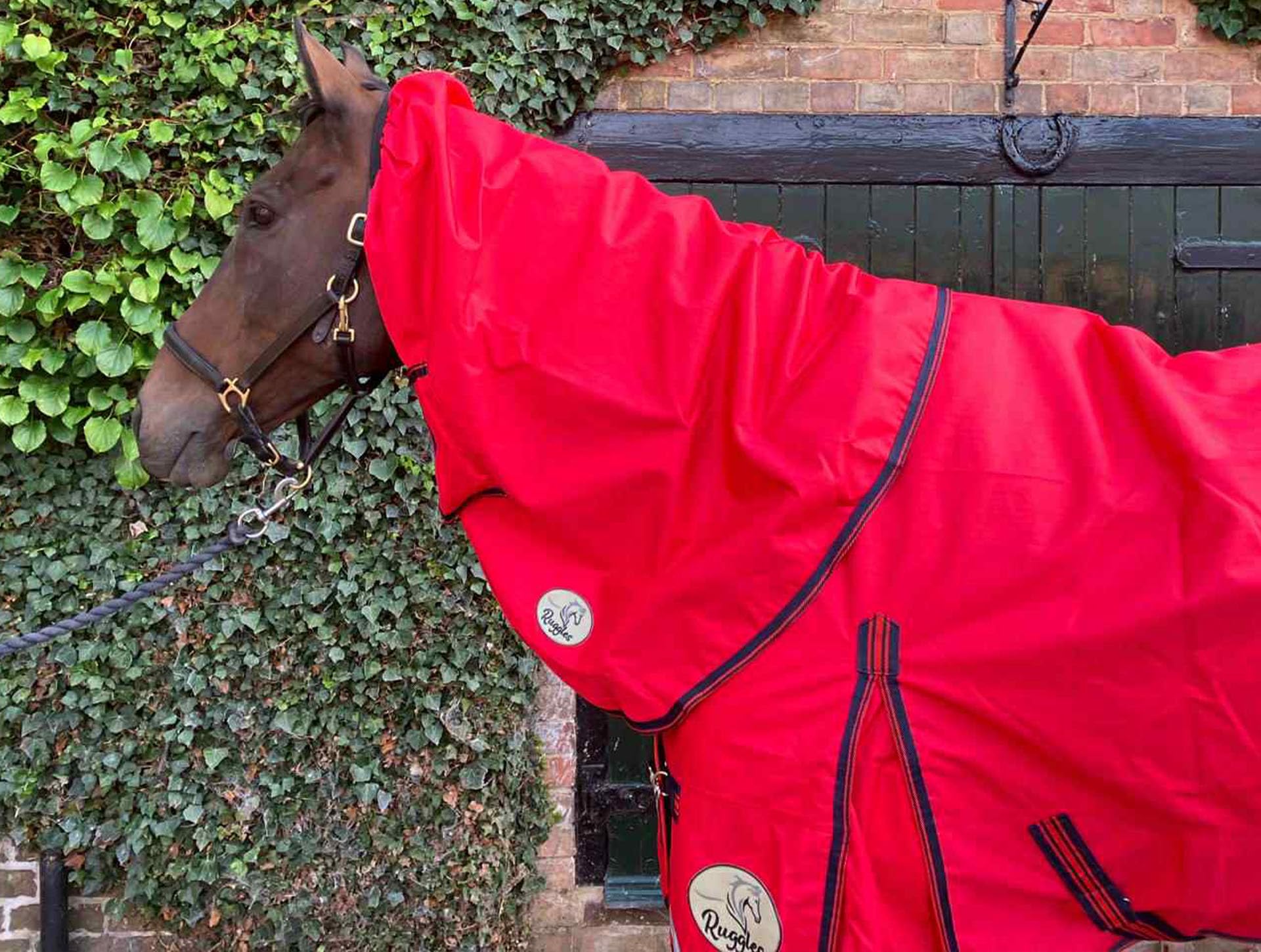 Ruggles 50g Lightweight Turnout NECK COVER for Horse & Pony | Waterproof Windproof Breathable | Durable Teflon Coated 1200D Outer | Soft Anti Rub Lining (Tomato Red, Small)