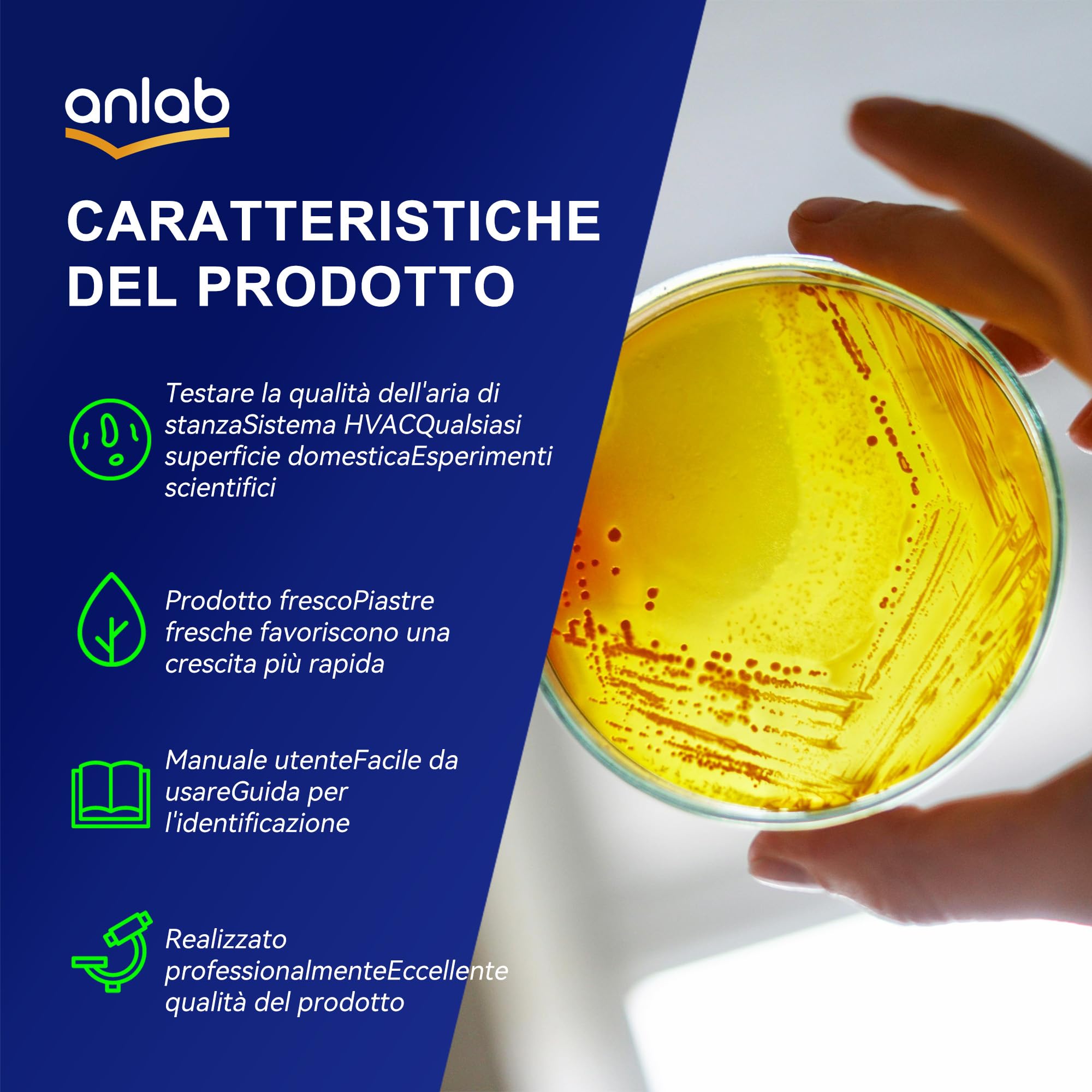 Nutrient Agar Petri Dishes Project Kit | Pre-Poured Agar Plates and Cotton Swabs for Experiments | Bacteria Kit - Sealed Separately (30)