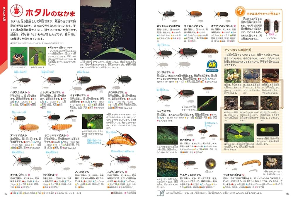 【DVD付】昆虫 (学研の図鑑LIVE) 3歳~小学生向け 図鑑 Amazon.co.jp: 【DVD付】昆虫 (学研の図鑑LIVE) 3歳~小学生向け