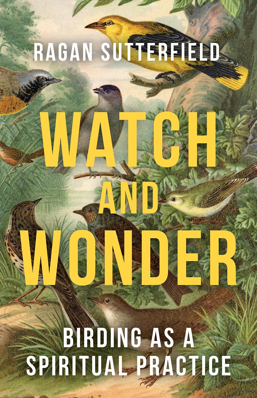 Watch and Wonder by Ragan Sutterfield PAPERBACK 9798889832614