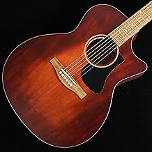 Eastman PCH1-GACE-CLA S/N：M2504066 【エレアコ】 イーストマン