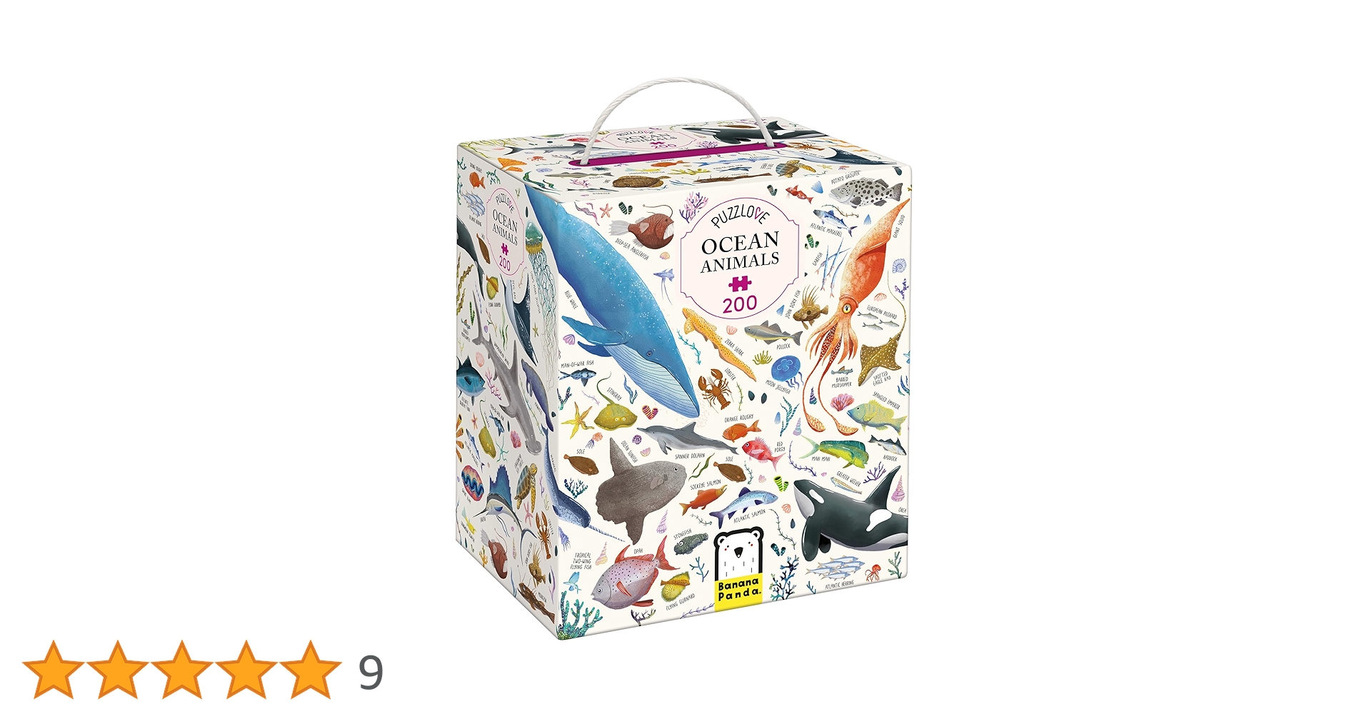 さかなページ Amazon.co.jp: にじいろのさかな (世界の絵本) : マーカス