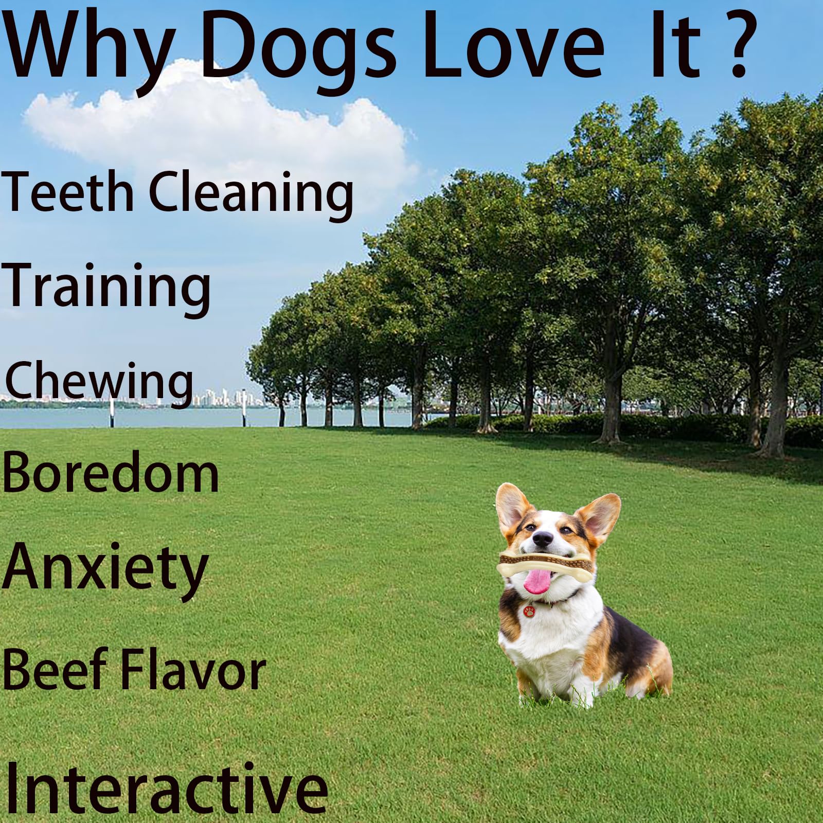 SPEREELER Dog Chew Toys for Aggressive Chewers, 2 Pack Real Beef Flavor,Indestructible Dog Teething Chew Toys for Large/Medium/Small Puppies Breed,Tough Pet Toy with Durable Nylon