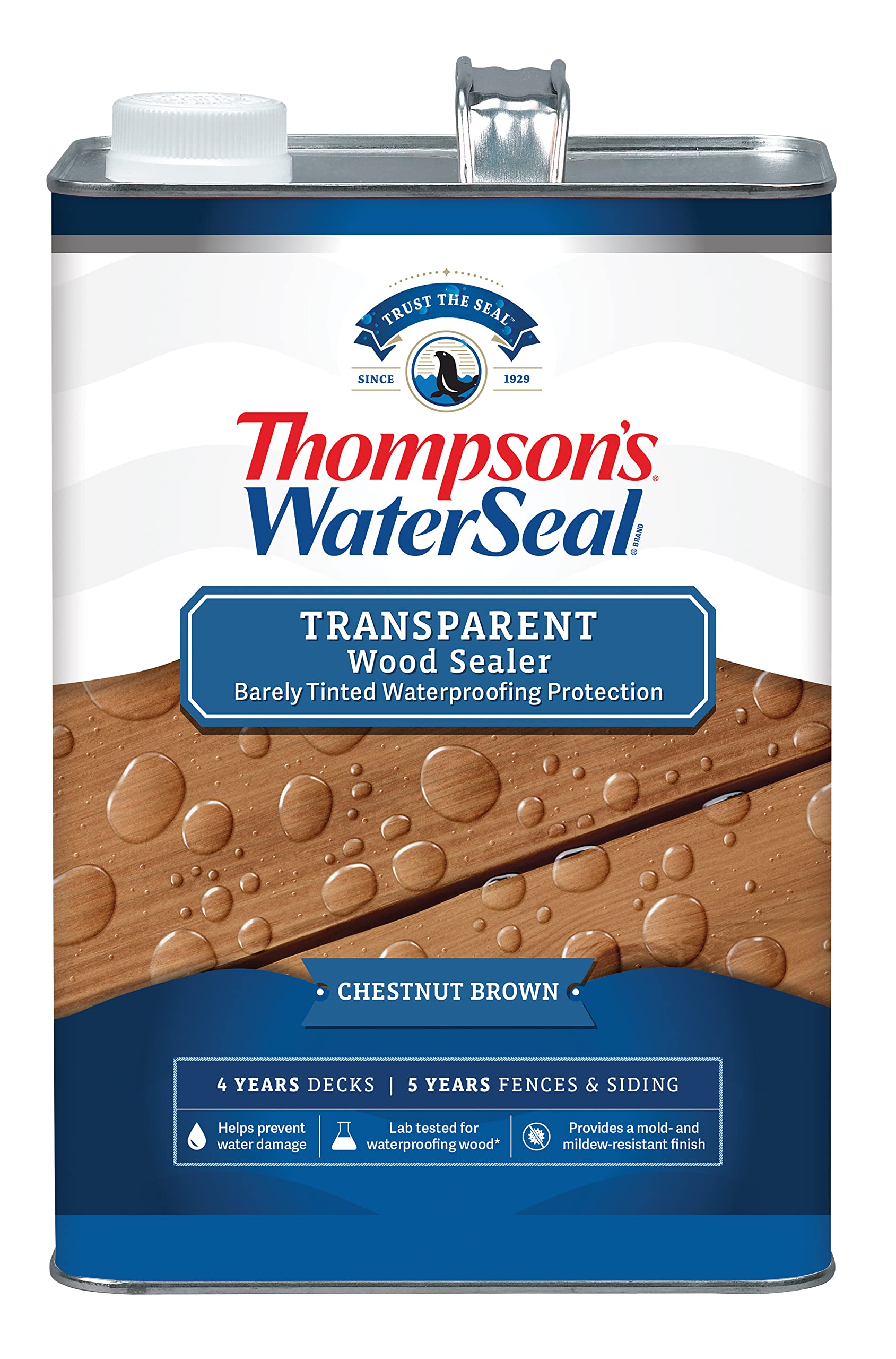 Thompson’s WaterSeal Transparent