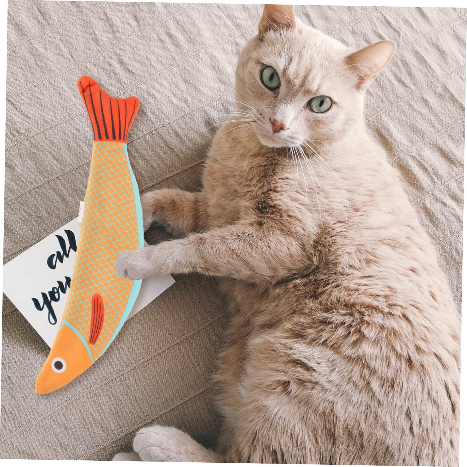 minkissy 5 Piezas Juguete para Gatos Juguetes para Masticar Gatos Juguete Interactivo con Gatera para Mascotas Juguetes para Vid De Plata Gato Mascota Felpa