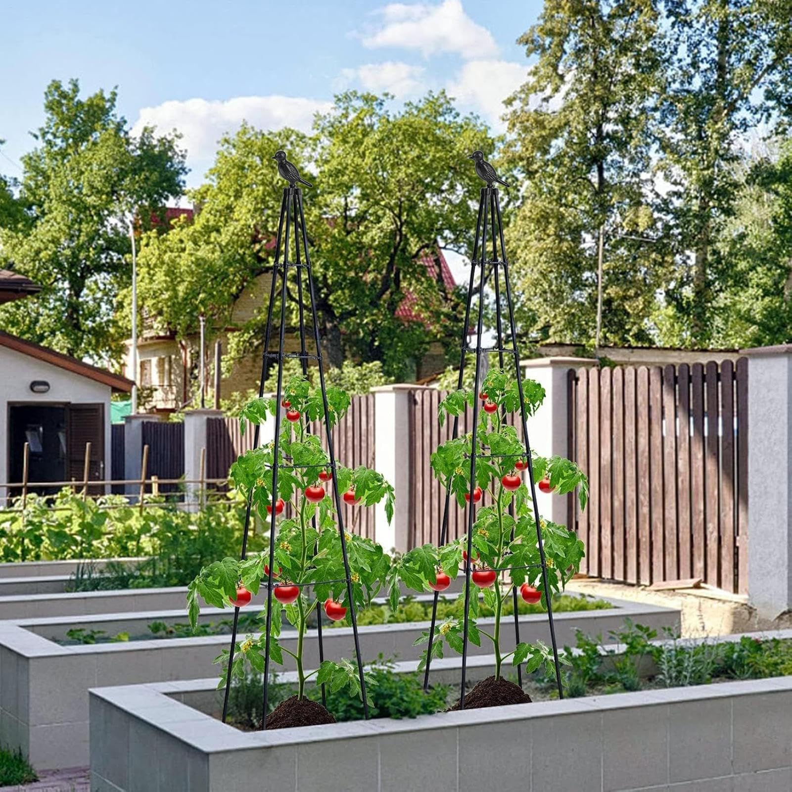 Tuteur Obélisque de Jardin Cage de Support Vertical en Métal