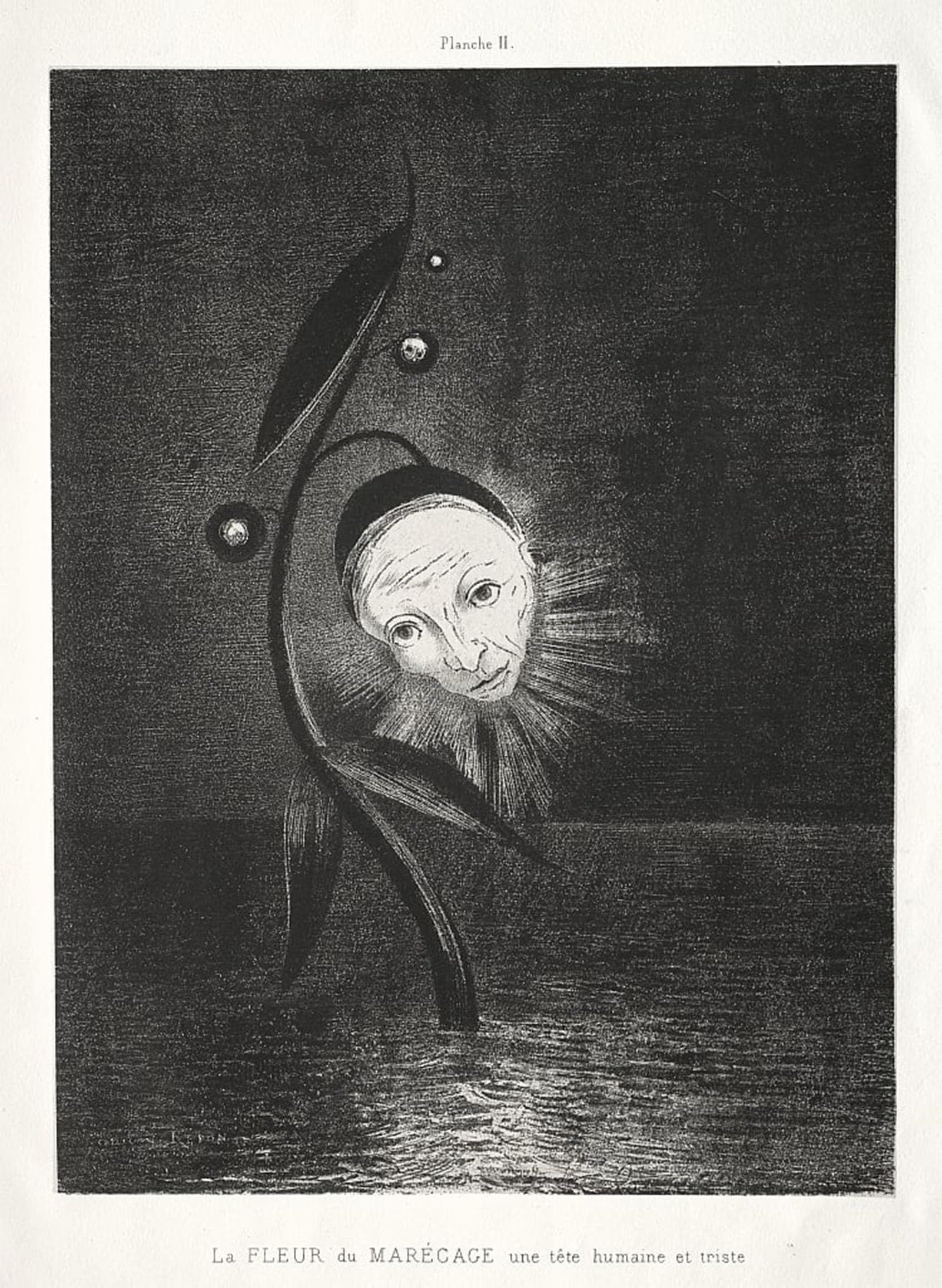 SERENDIPITP Abstract Painting Mural Print Picture Wall Decor Painting Homage to Goya the Marsh Flower a Sad Human Head by Odilon Redon Vintage Wall Artwork for Home Decor 60x90cm