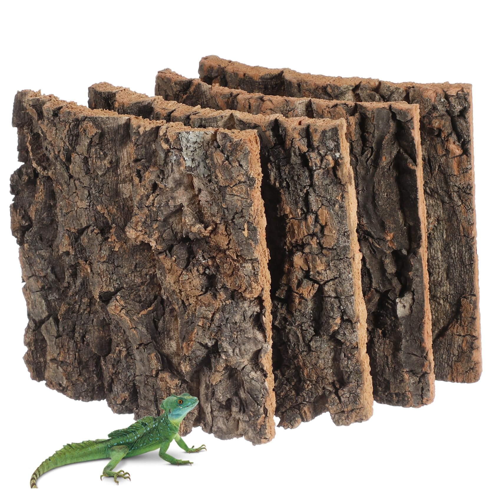 Amazon | Lurrose 4 個 水槽の装飾 爬虫類コルク樹皮 トカゲ 水族館の