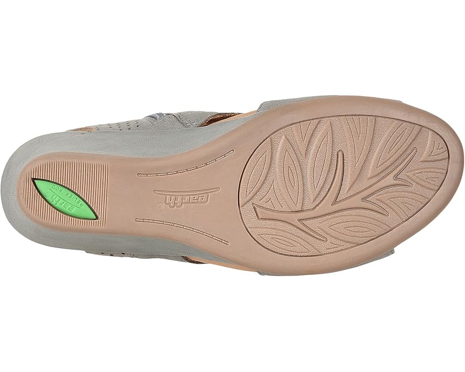 Earth Sweetpea - Bottom View