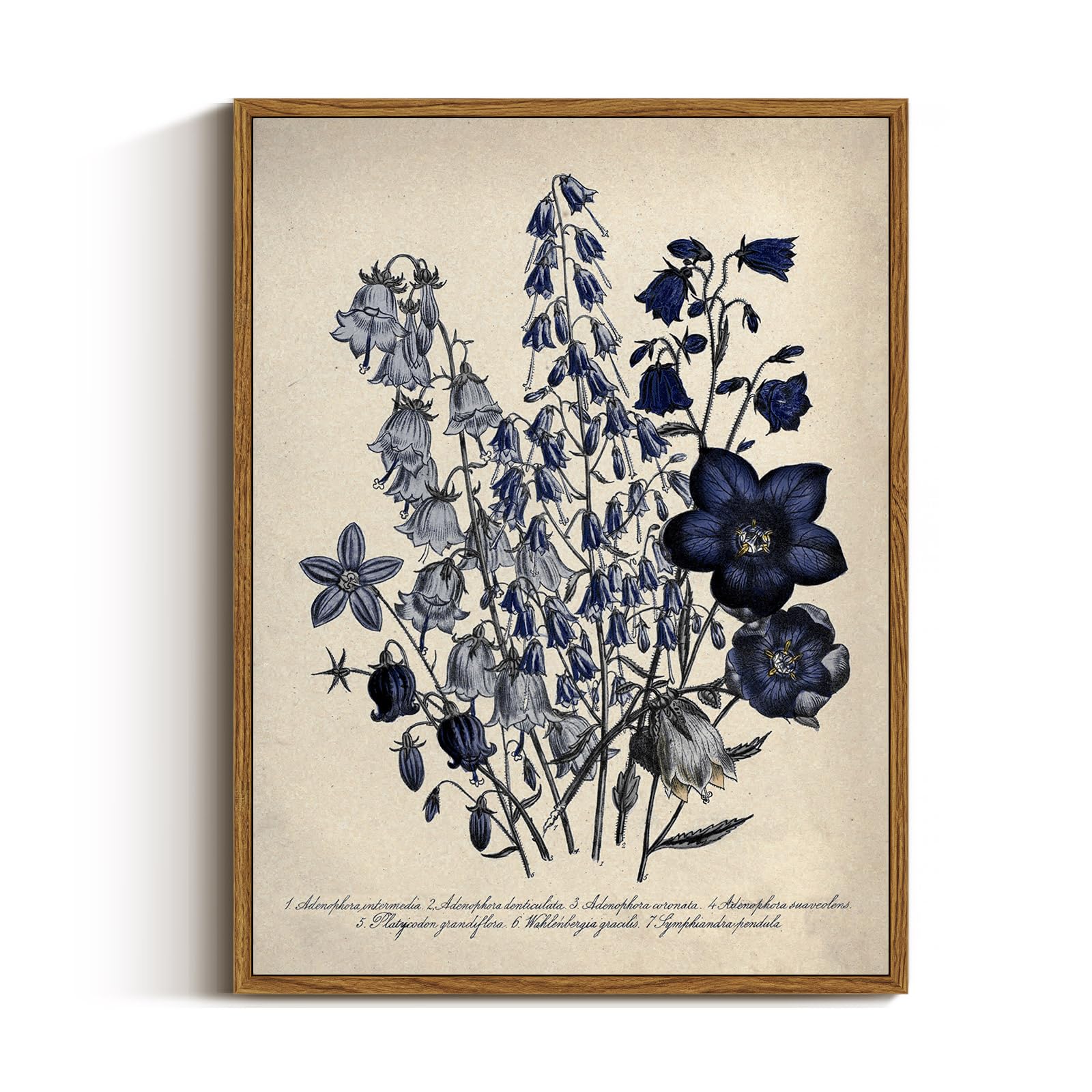 VIYYIEA Vintage Framed Botanical Wall Art 12x16
