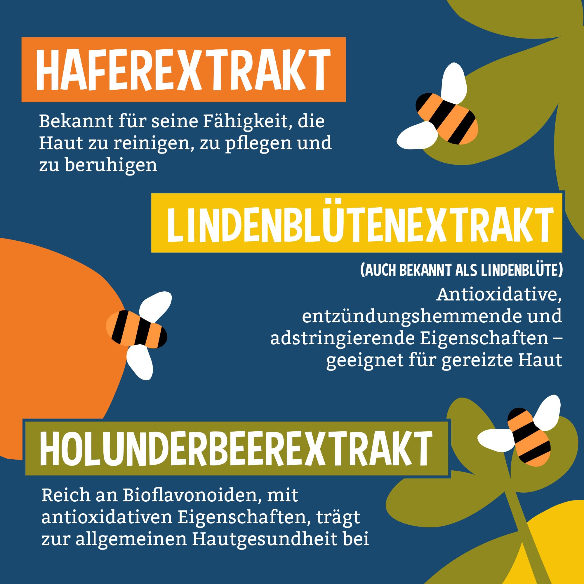 Faith In Nature Natürliches Grapefruit & Orange Duschgel, Energiespendendes Duschgel, Vegan und tierversuchsfrei, Ohne SLS oder Parabene, 5 L Nachfüllpack