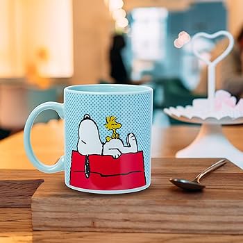 Amazon.com | Silver Buffalo Peanuts Snoopy and Woodstock on House
